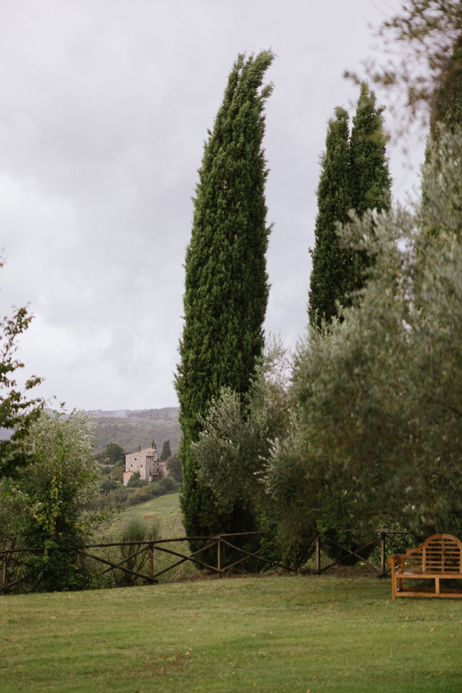 Tall cypress and olive trees frame a Tuscan countryside view with historic stone villa beyond.