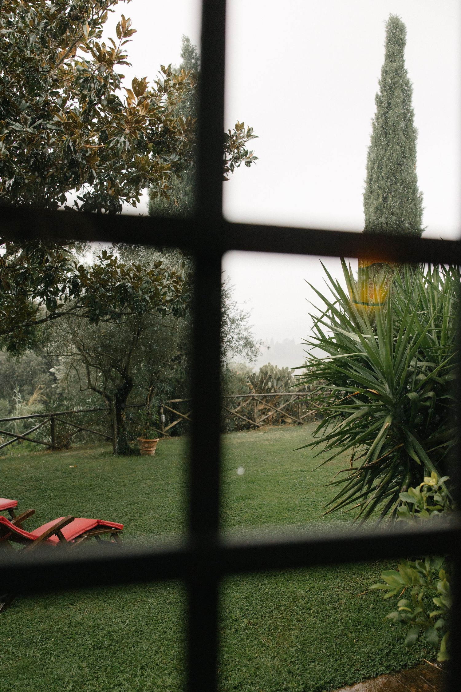 View through iron-framed window of Italian villa garden with cypress tree and red lounge chairs.
