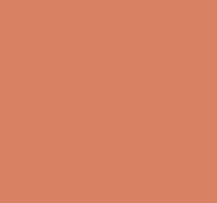 A solid terracotta salmon orange background with a warm, muted tone perfect for design projects.