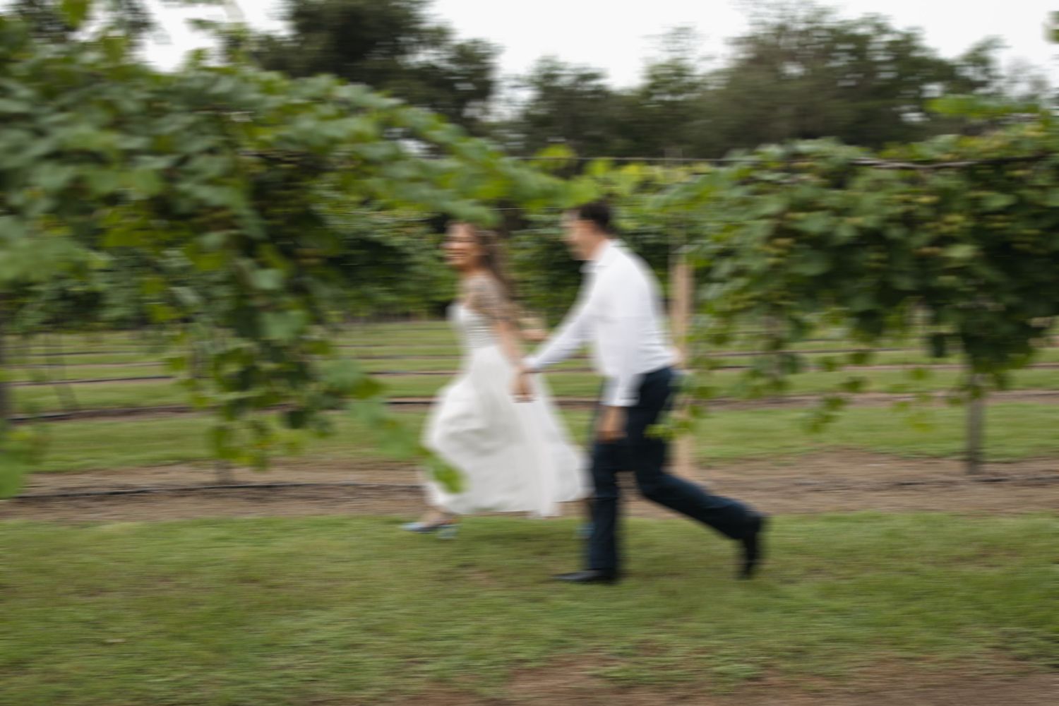 Bride and groom running through vineyard rows in a blurred motion wedding photo.