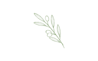 Delicate green olive branch illustration with leaves and olives, minimalist botanical line art design.