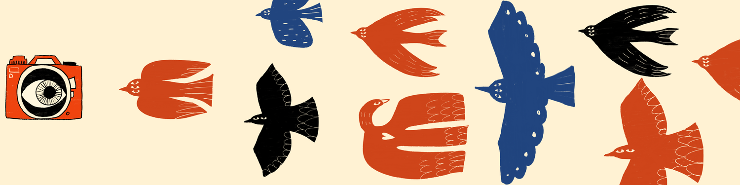Colorful retro-style birds in blue, red, and black with a vintage orange camera icon on cream background.