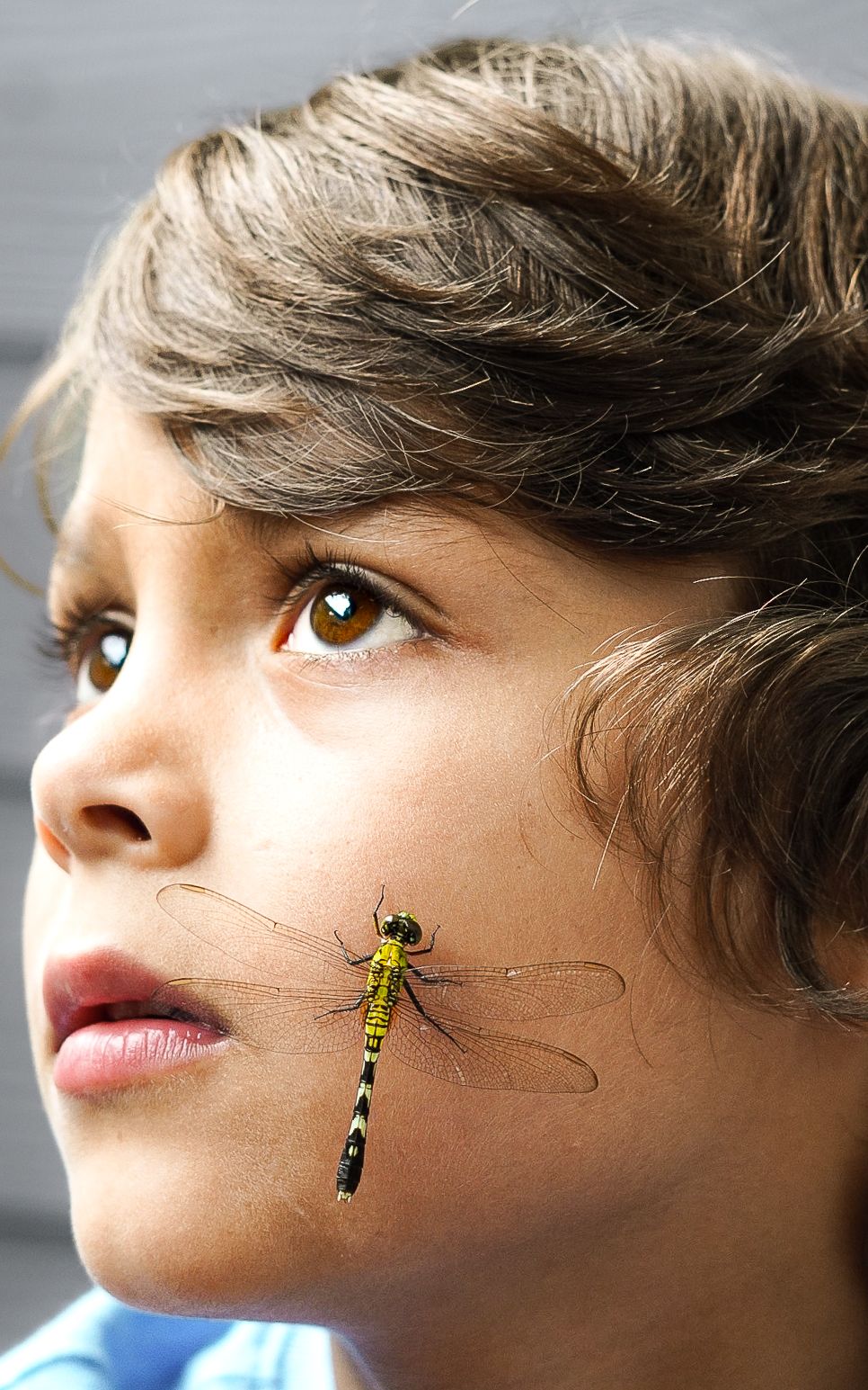 A yellow dragonfly perched on the cheek of a young child with brown eyes looking upward.