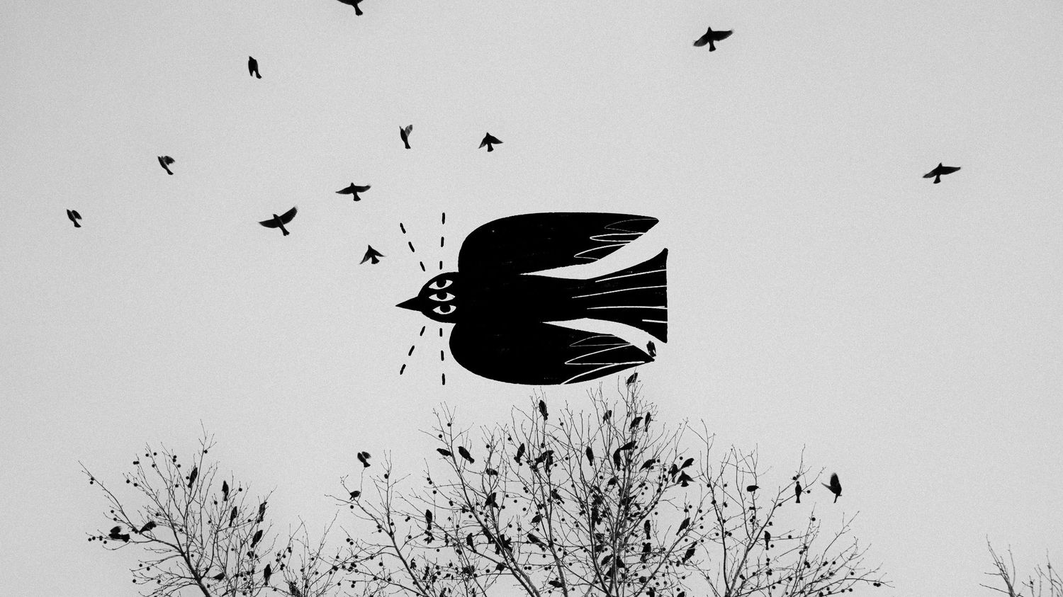 Silhouette of large dark bird surrounded by flock of birds flying above bare winter trees in gray sky.