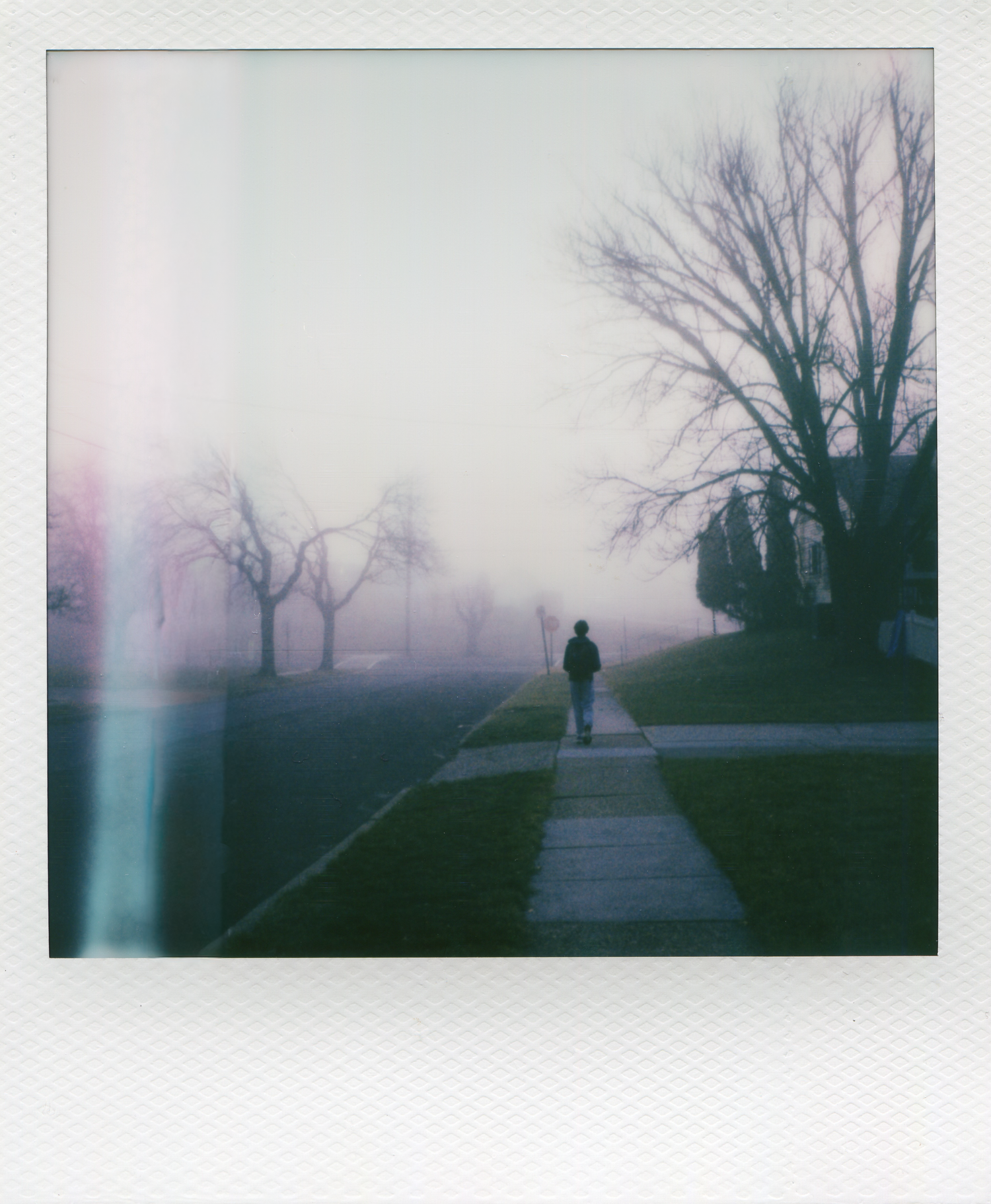 A lone figure walks along a foggy path surrounded by bare trees in a misty, atmospheric park scene.
