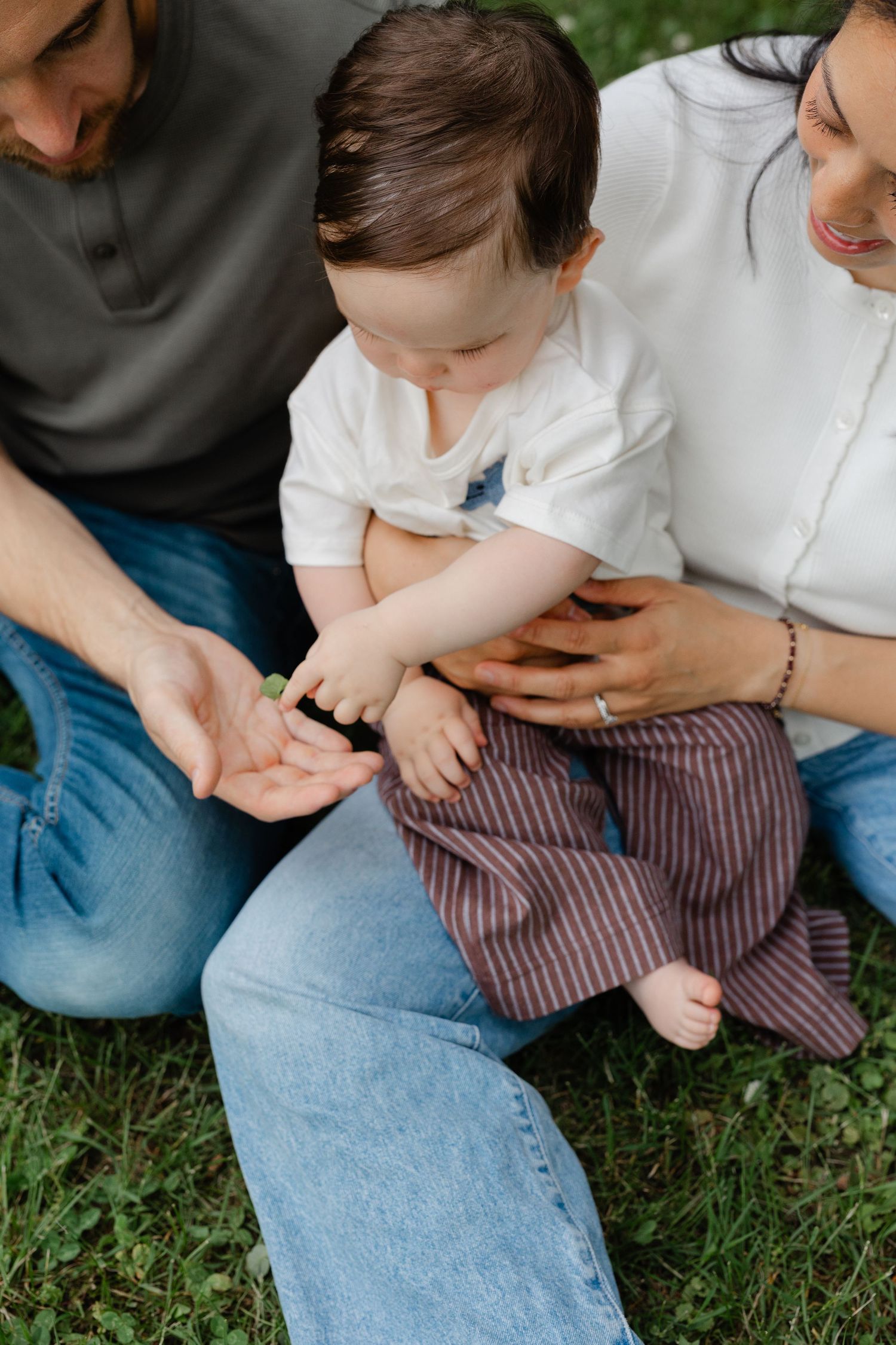 Parents sitting on grass with baby exploring a small plant in father's hand outdoors.