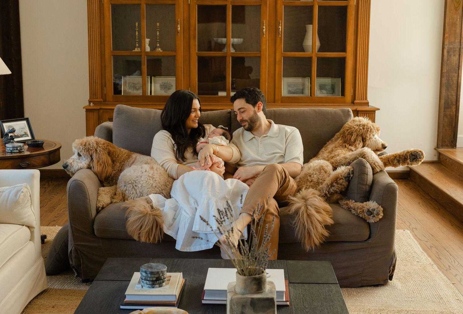 Happy couple relaxes on gray sofa with newborn baby and fluffy golden dogs in cozy living room.