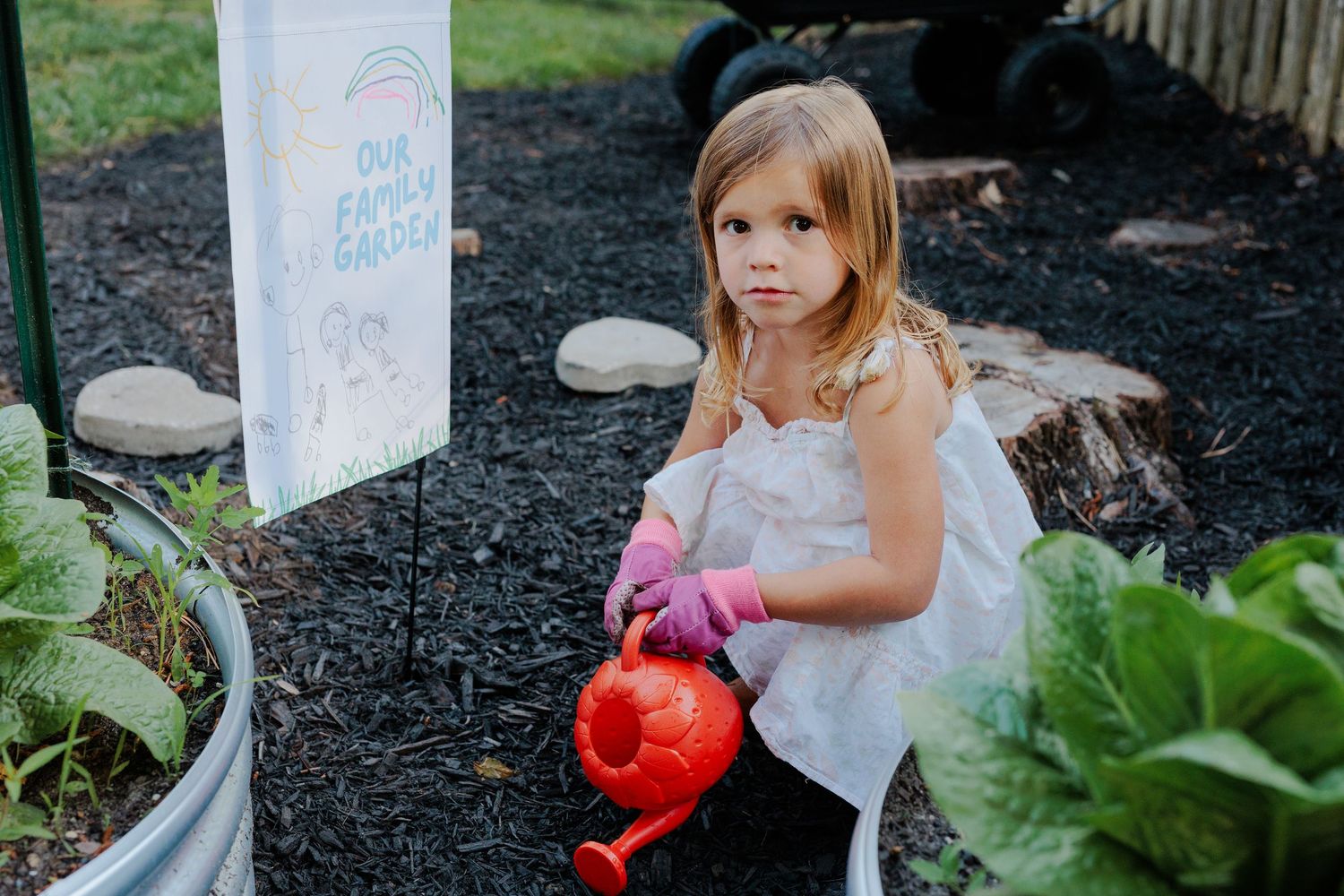 Young blonde girl watering a family garden with a red watering can.
