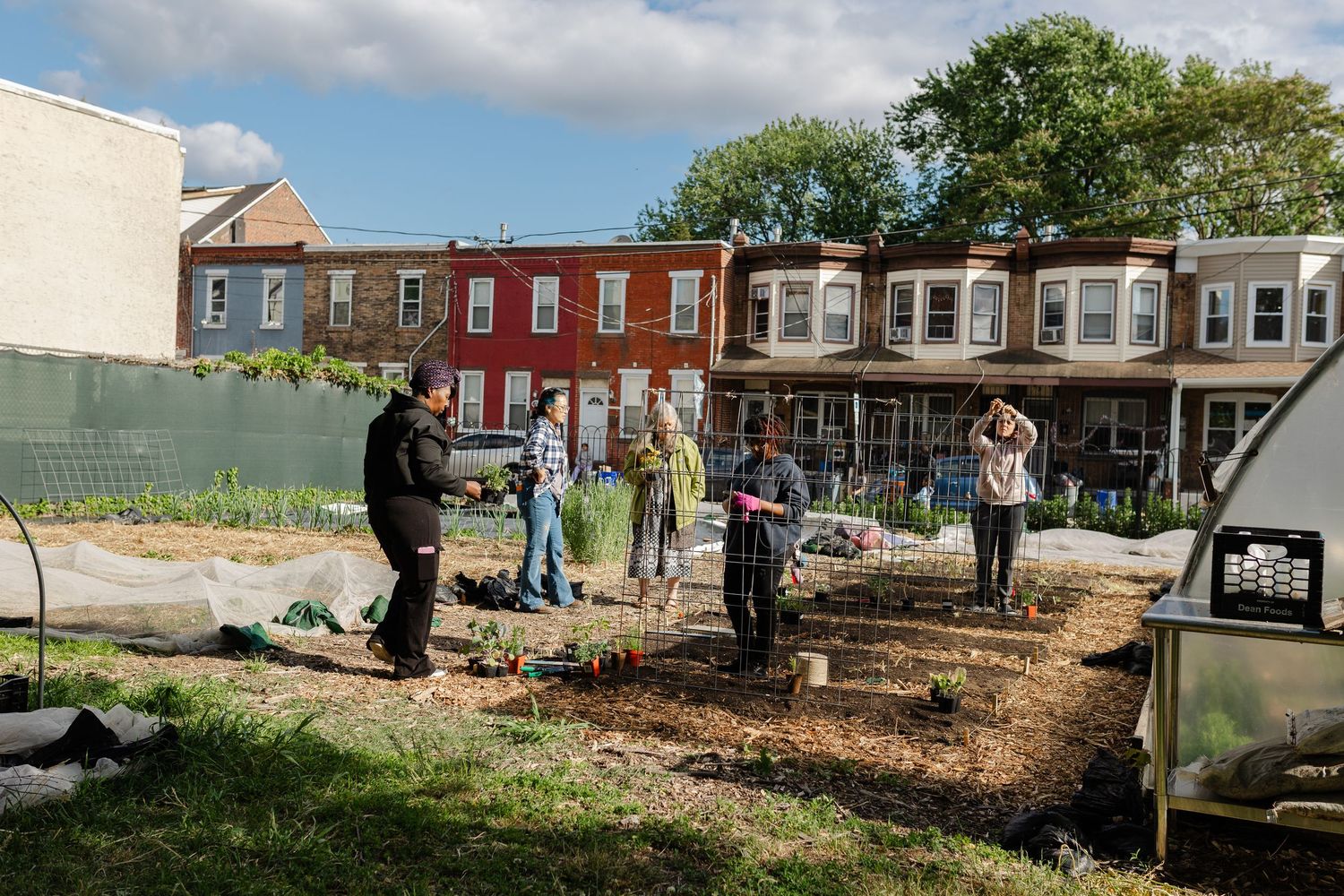 Community gardeners tend to raised beds in an urban garden surrounded by colorful row houses on a sunny day.
