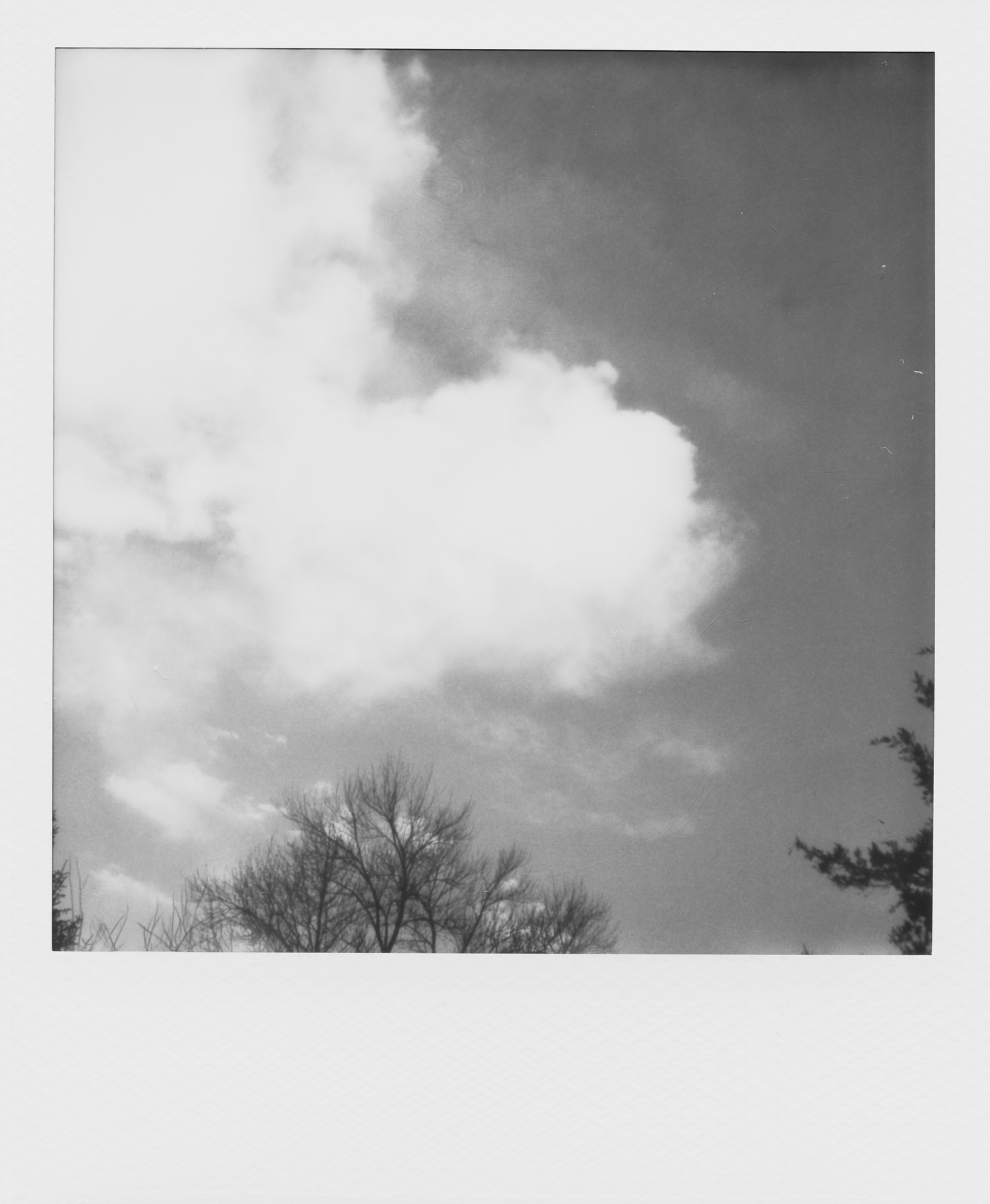 Monochrome polaroid showing cloud formations and silhouetted trees.