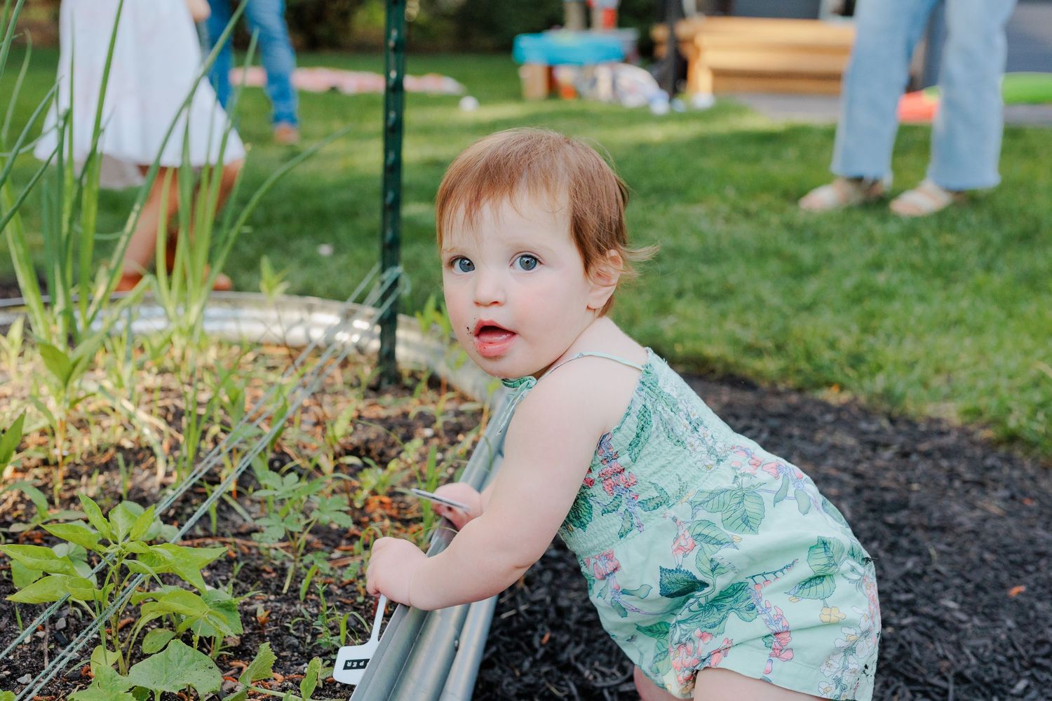 Curious red-haired toddler in green romper leaning on a metal raised garden bed.