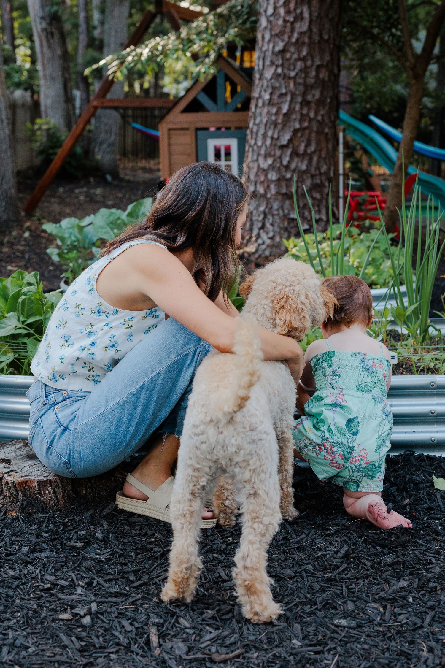 Mother hugging a golden doodle dog while toddler explores a raised garden bed.