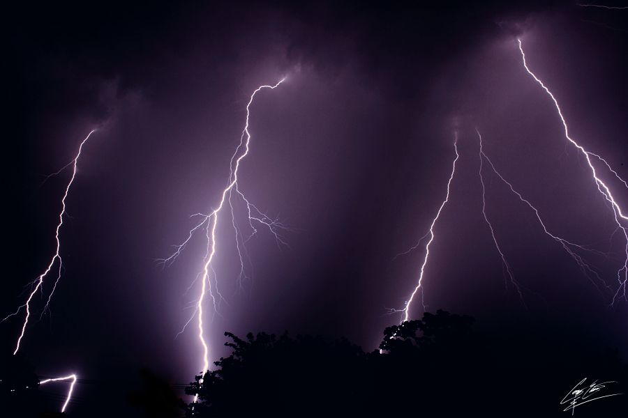 Multiple lightning bolts strike across a dark purple night sky above silhouetted trees during a thunderstorm.
