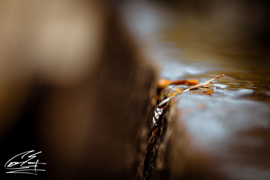 Close-up macro shot of water flowing over a rustic wooden surface with shallow depth of field.
