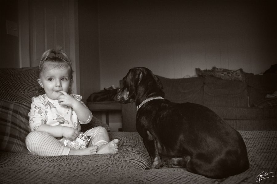 Black and white photo of a baby girl sitting on a bed beside a dark-colored dachshund dog.