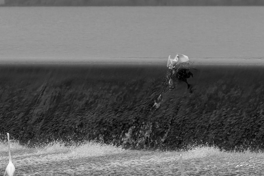Two people wading through shallow water in a vast open landscape captured in black and white.