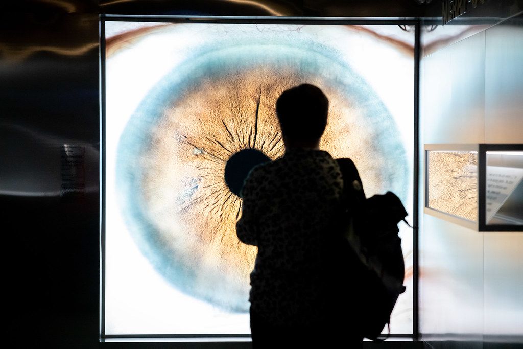 Silhouette of person with backpack viewing large illuminated eye anatomy display.