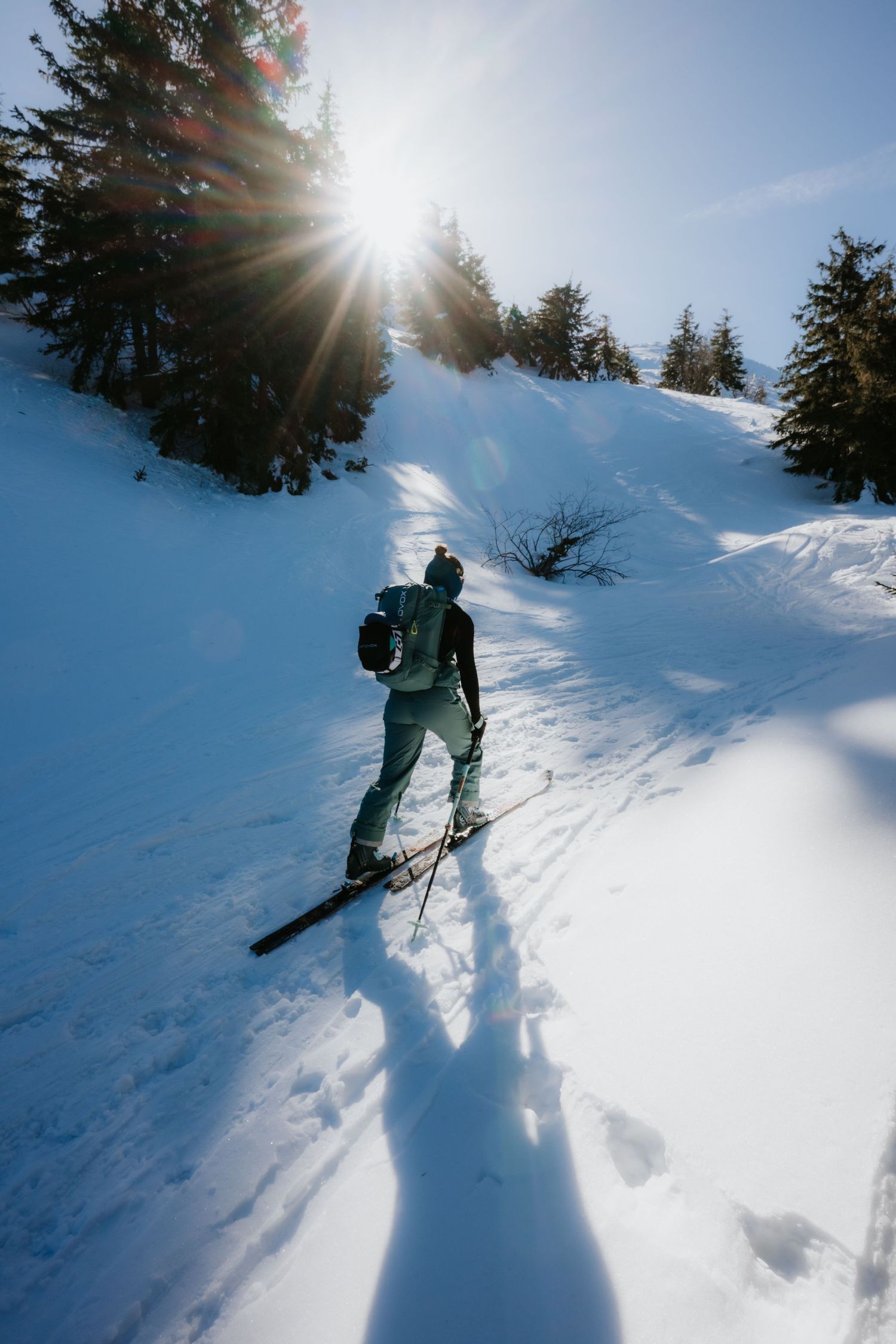 Solo backcountry skier climbing a sun-drenched snowy slope surrounded by pine trees in winter.