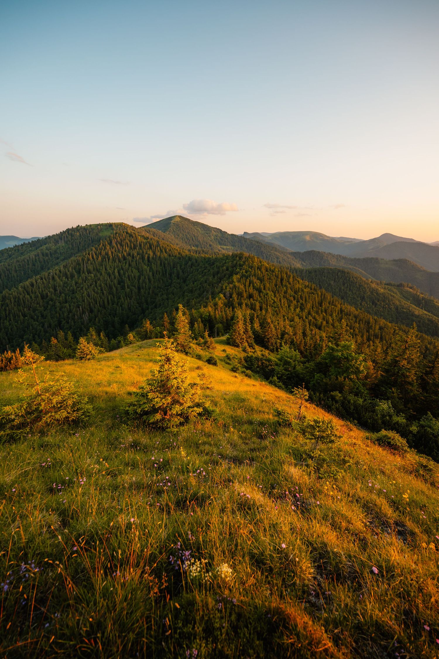 Panoramic view of green mountain peaks and meadows bathed in warm sunset light under a clear sky.