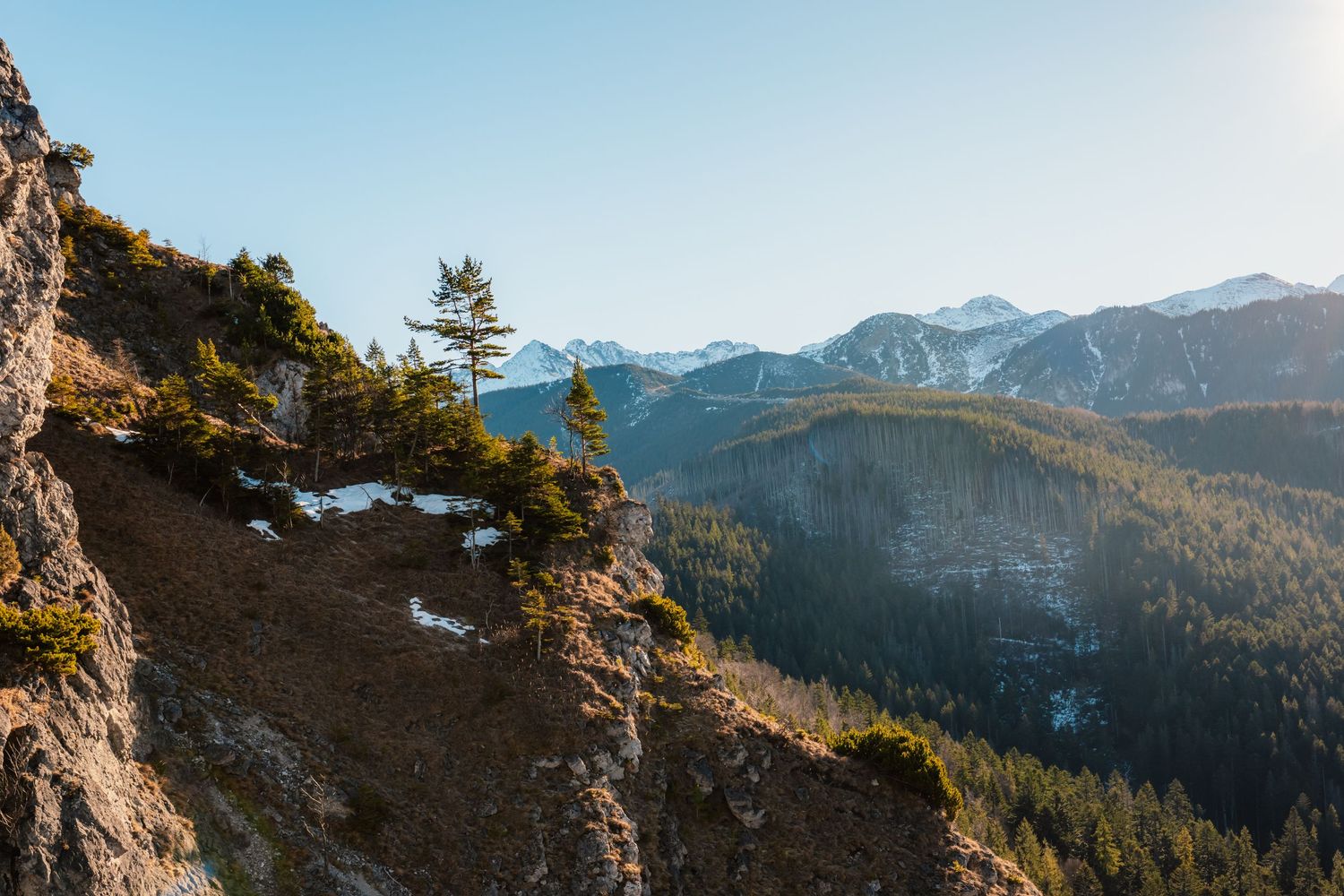 Rocky mountain cliff with pine trees overlooking vast snow-capped mountain range under clear blue sky.