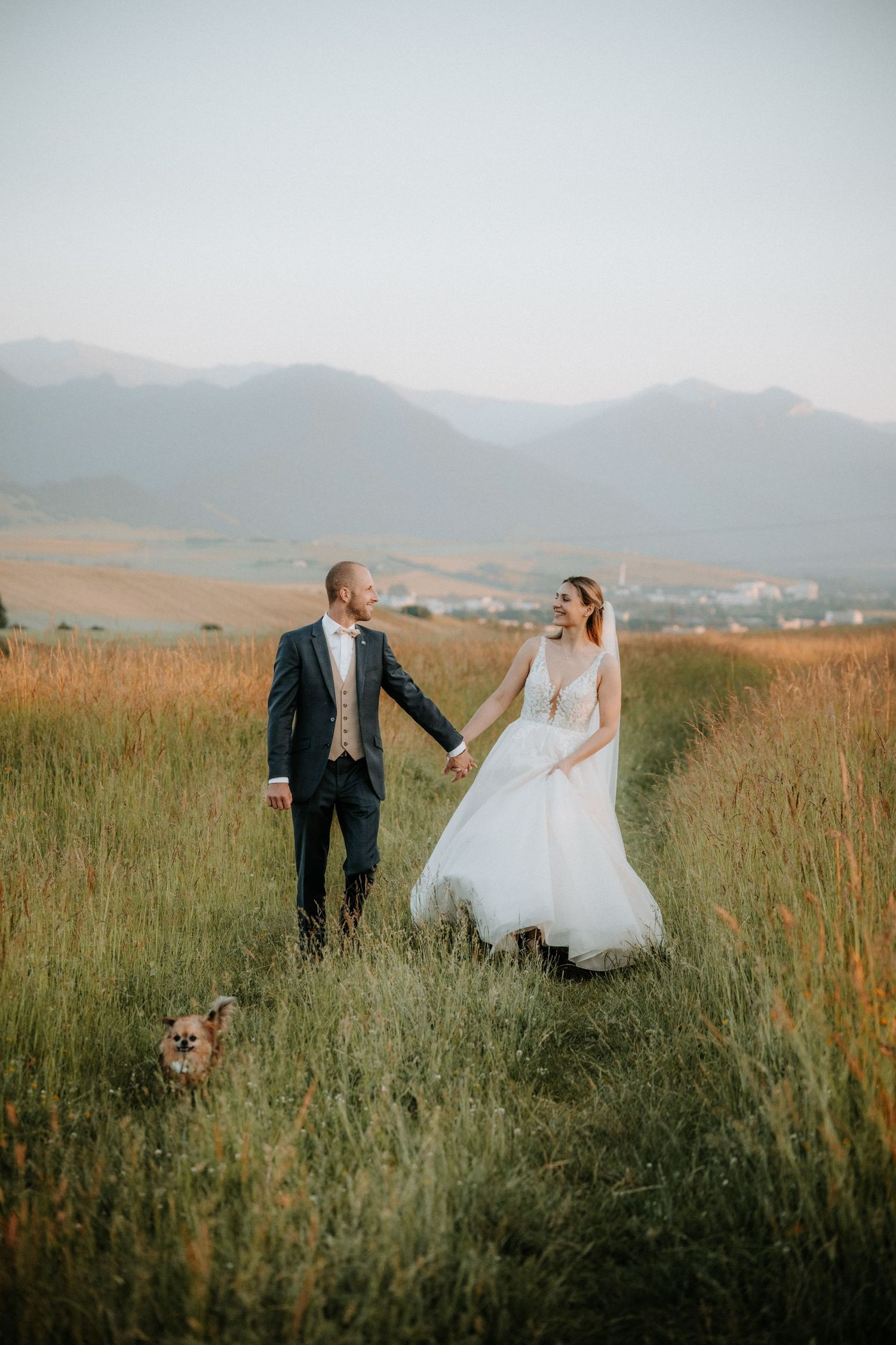 Bride and groom walk hand-in-hand through golden field with mountains and small dog nearby on their wedding day.