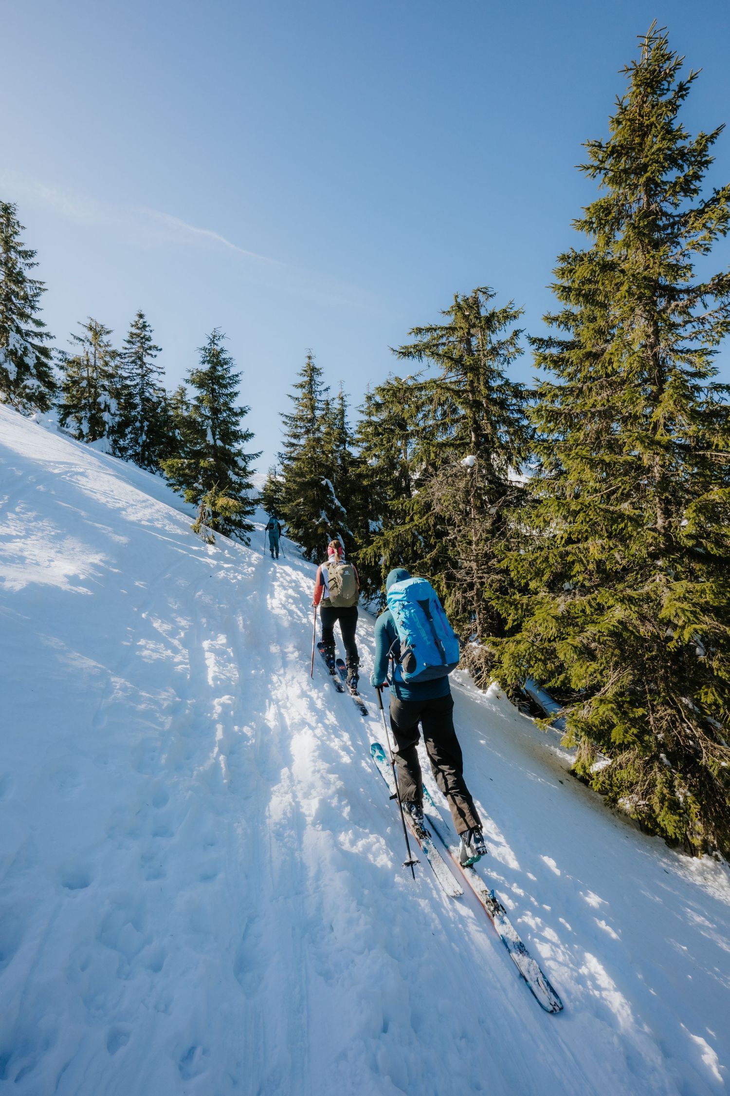 Two backcountry skiers with packs ascending a steep snowy trail lined with tall evergreen trees.