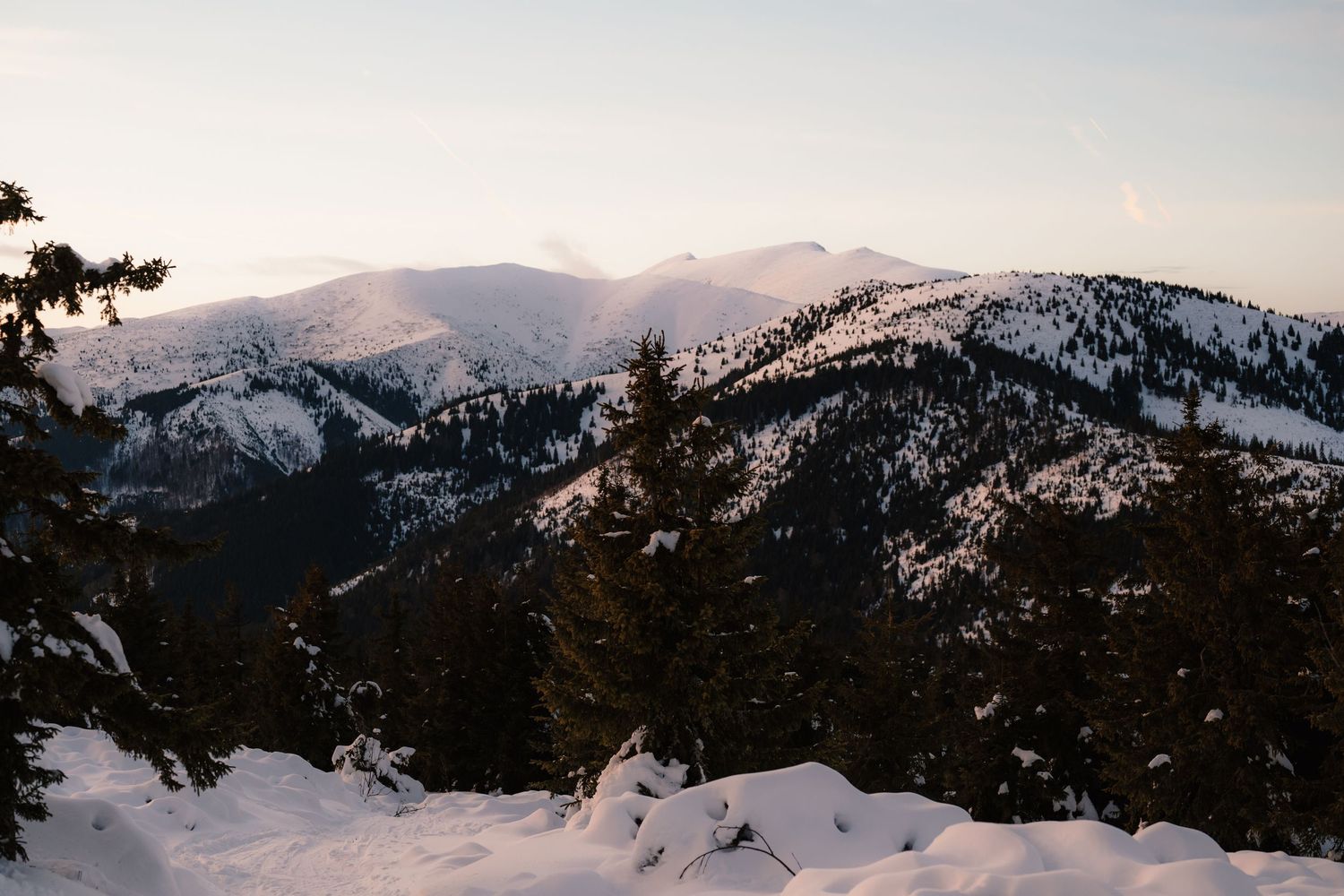 Panoramic winter mountain landscape with snow-covered peaks and pine forests at sunset.