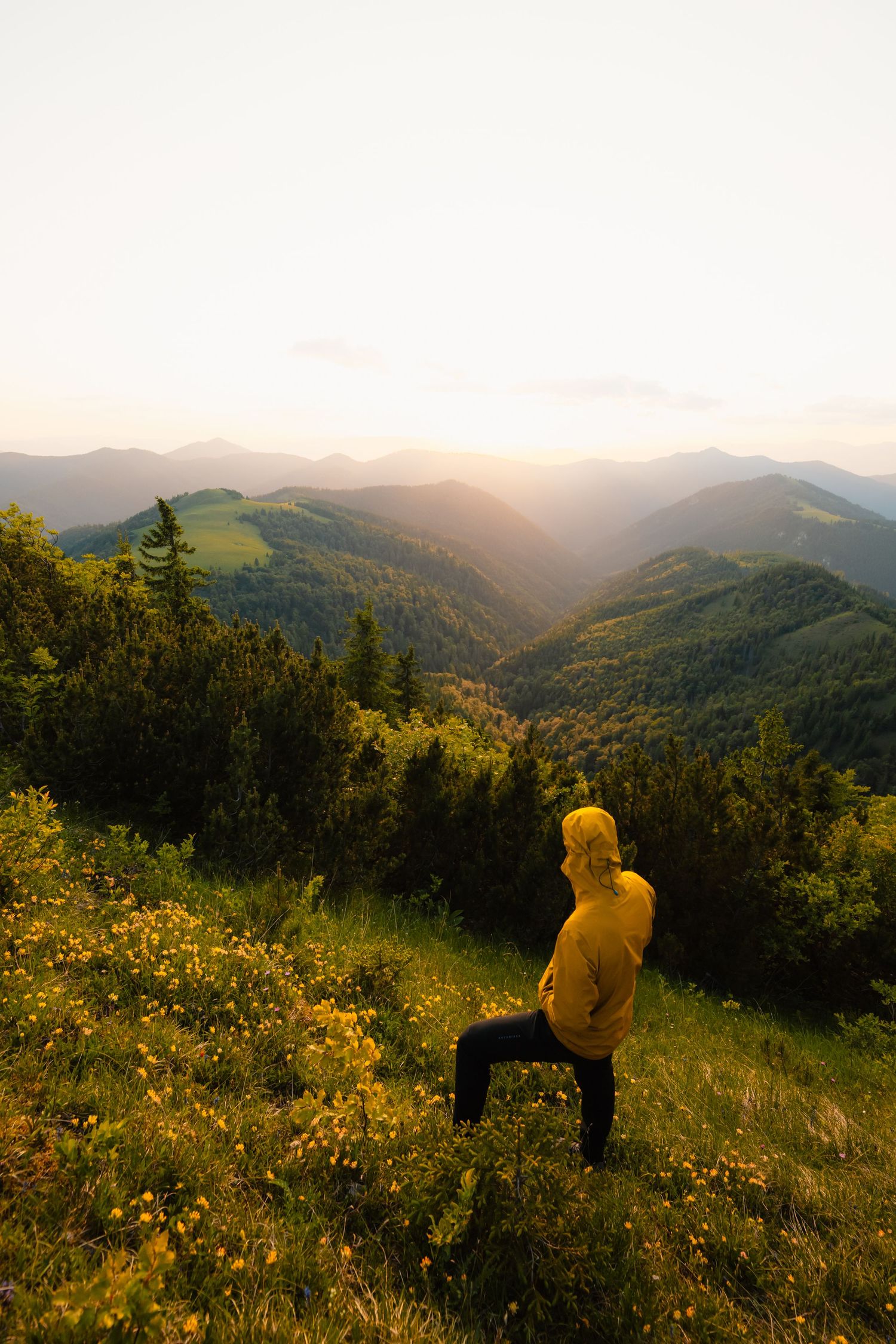 A hiker in a yellow jacket kneels on a grassy mountain meadow overlooking a stunning sunset valley.