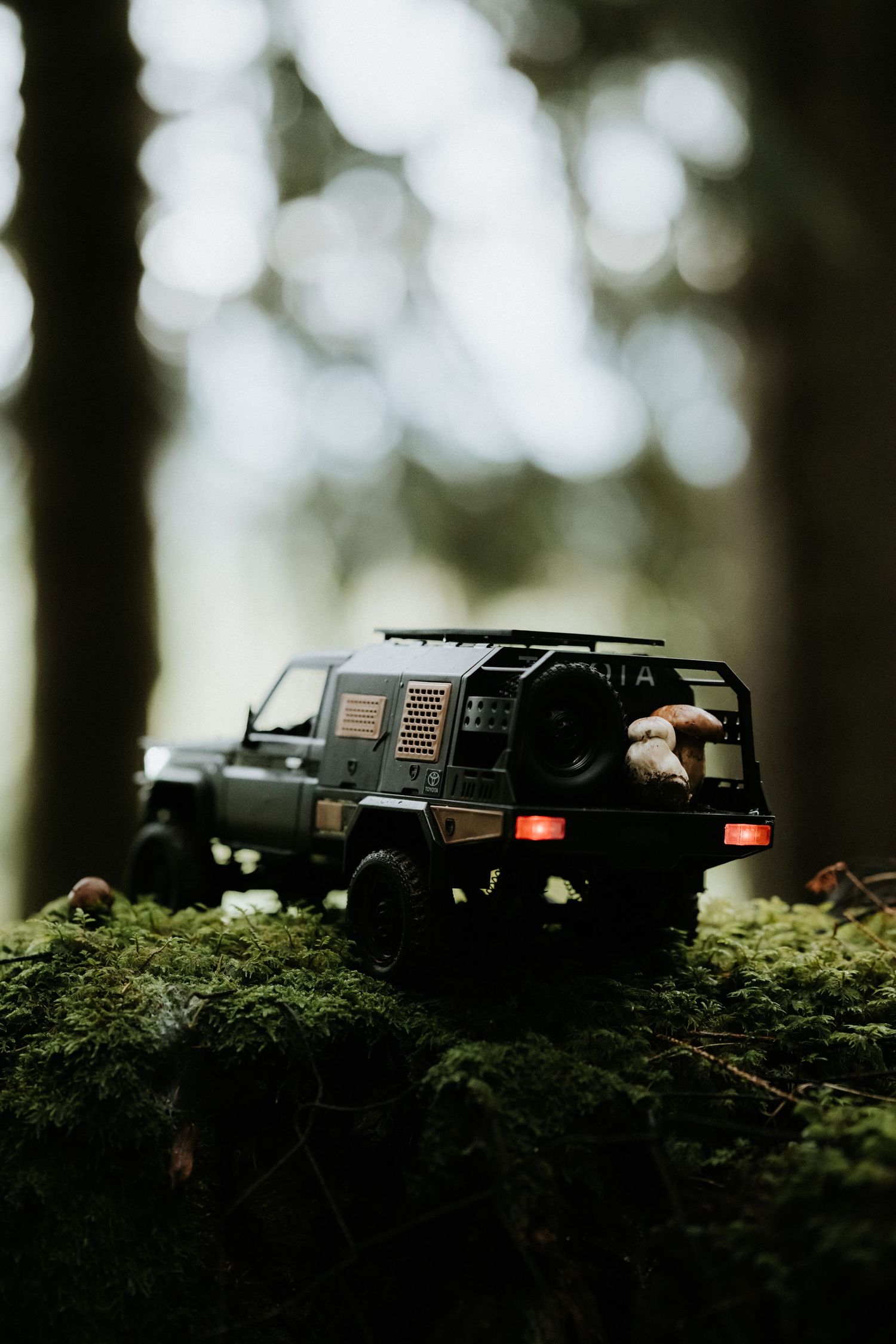 Rear view of a dark toy Toyota Land Cruiser RC car on a mossy log in a forest.