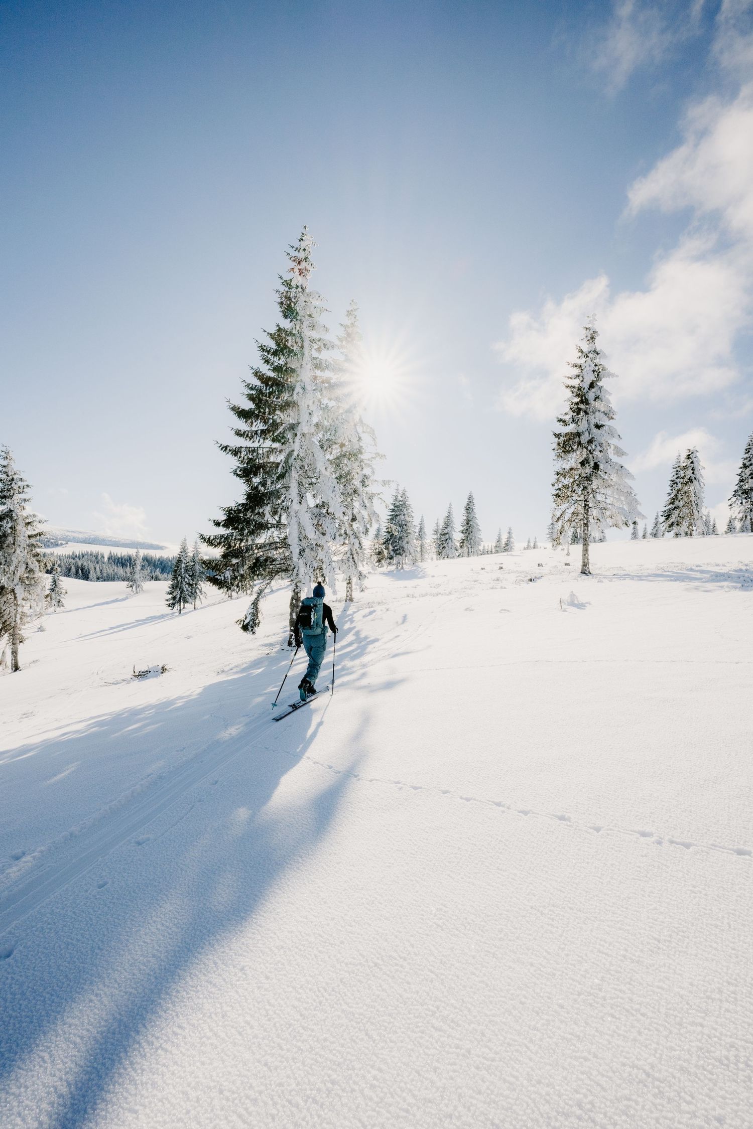 A backcountry skier climbs a snowy slope with snow-covered fir trees and a brilliant sunburst overhead.