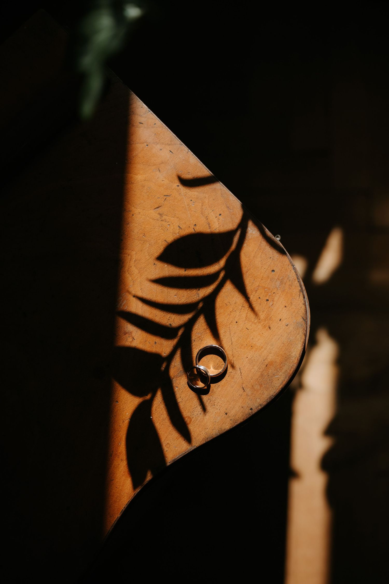 Gold wedding ring on wooden surface with dramatic leaf shadow in dark light.