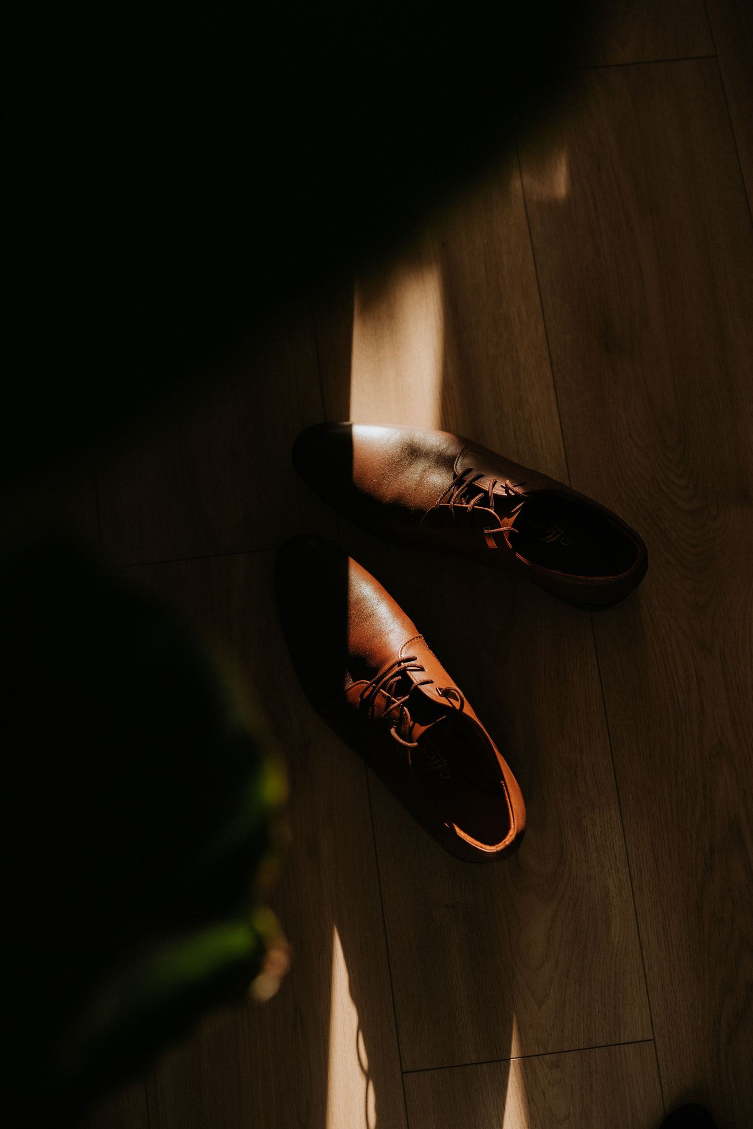 Brown leather oxford dress shoes on wooden floor illuminated by natural light.