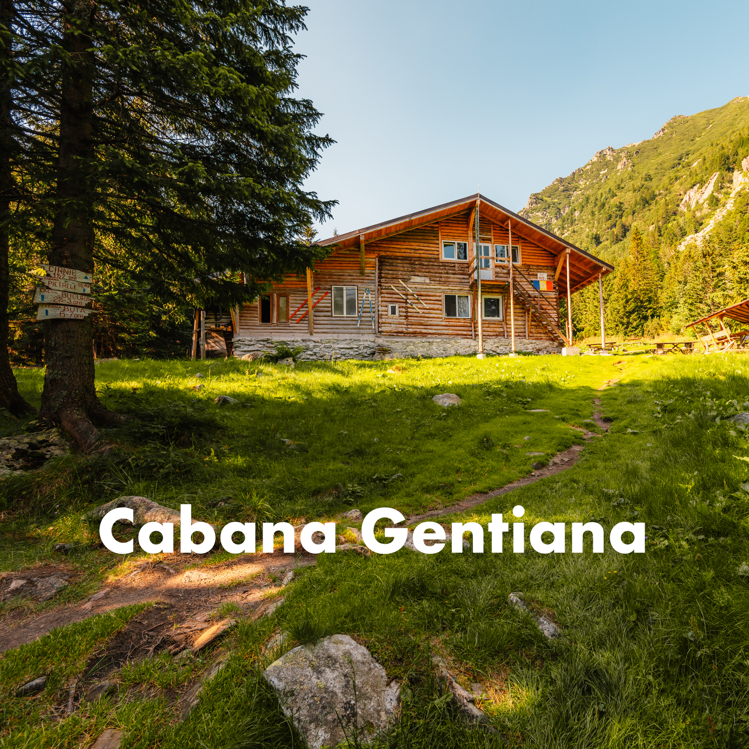 A rustic wooden mountain cabin surrounded by pine trees at Cabana Gentiana, Romania.