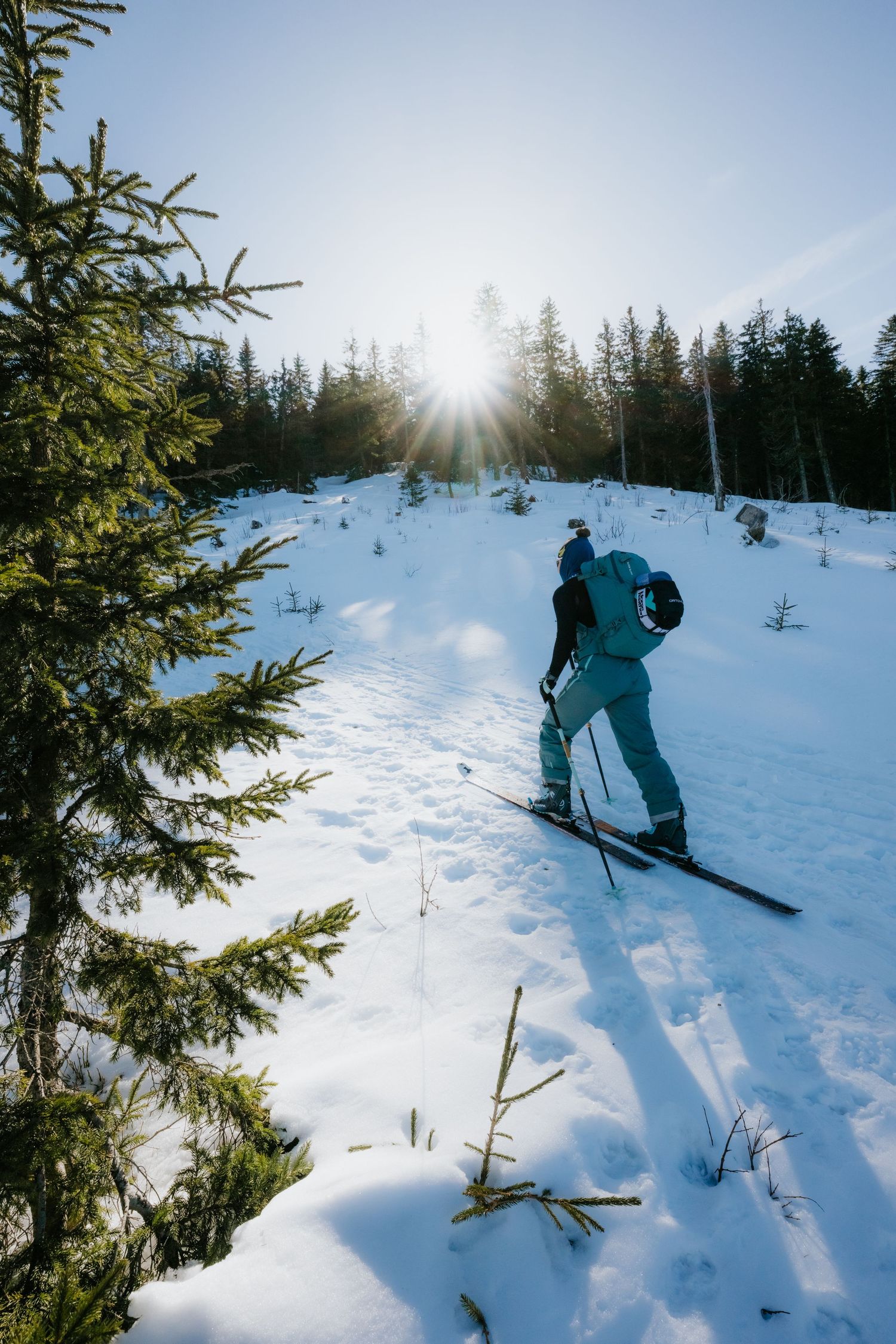 Backcountry skier ascending a snowy forest trail with sunburst shining through evergreen trees.