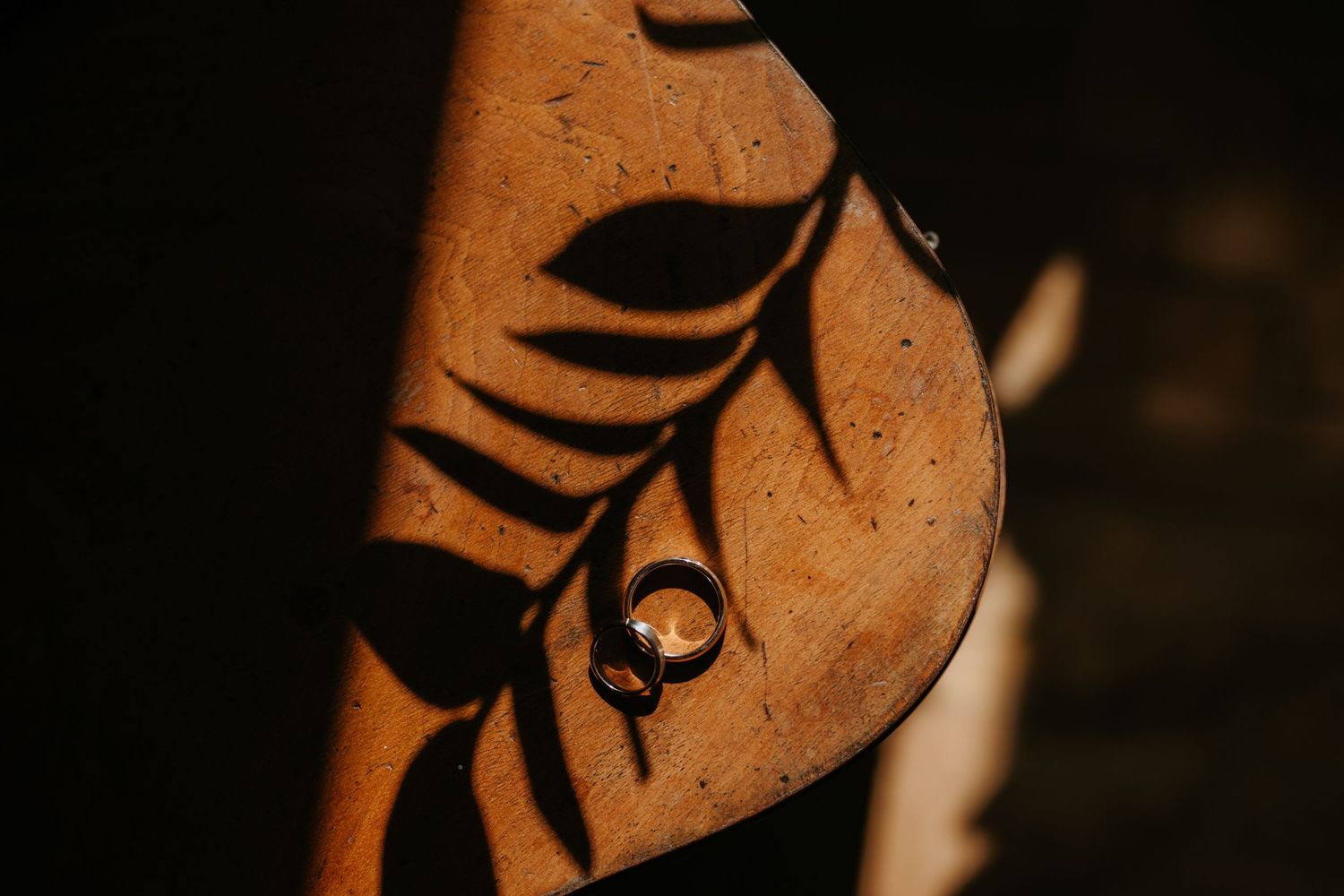 A gold wedding ring resting on a dried leaf with a fern shadow cast across it in warm golden light.