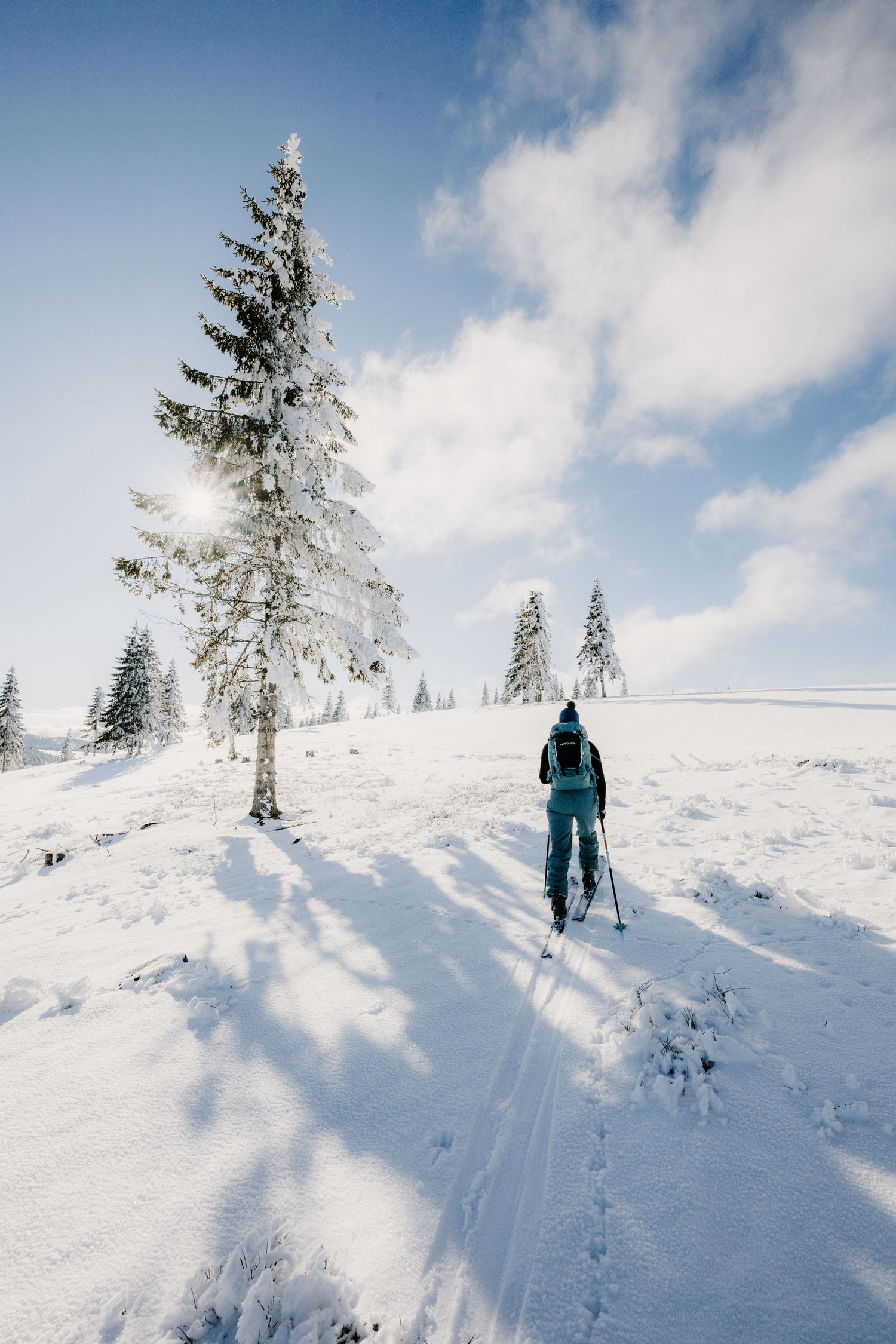 A lone skier travels uphill through a winter landscape with frost-covered trees casting long shadows on snow.