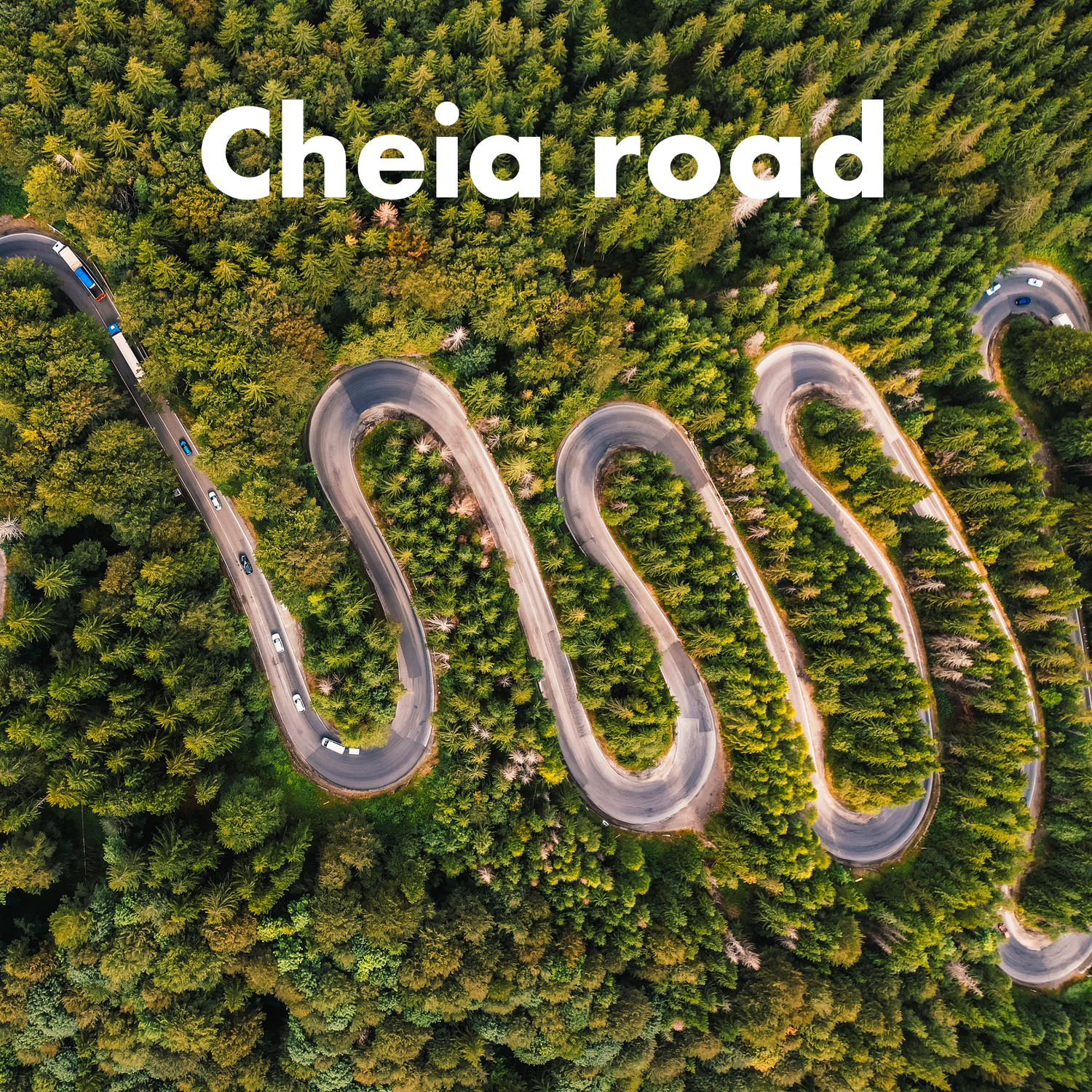 Aerial view of the winding Cheia Road cutting through a dense green forest in Romania.