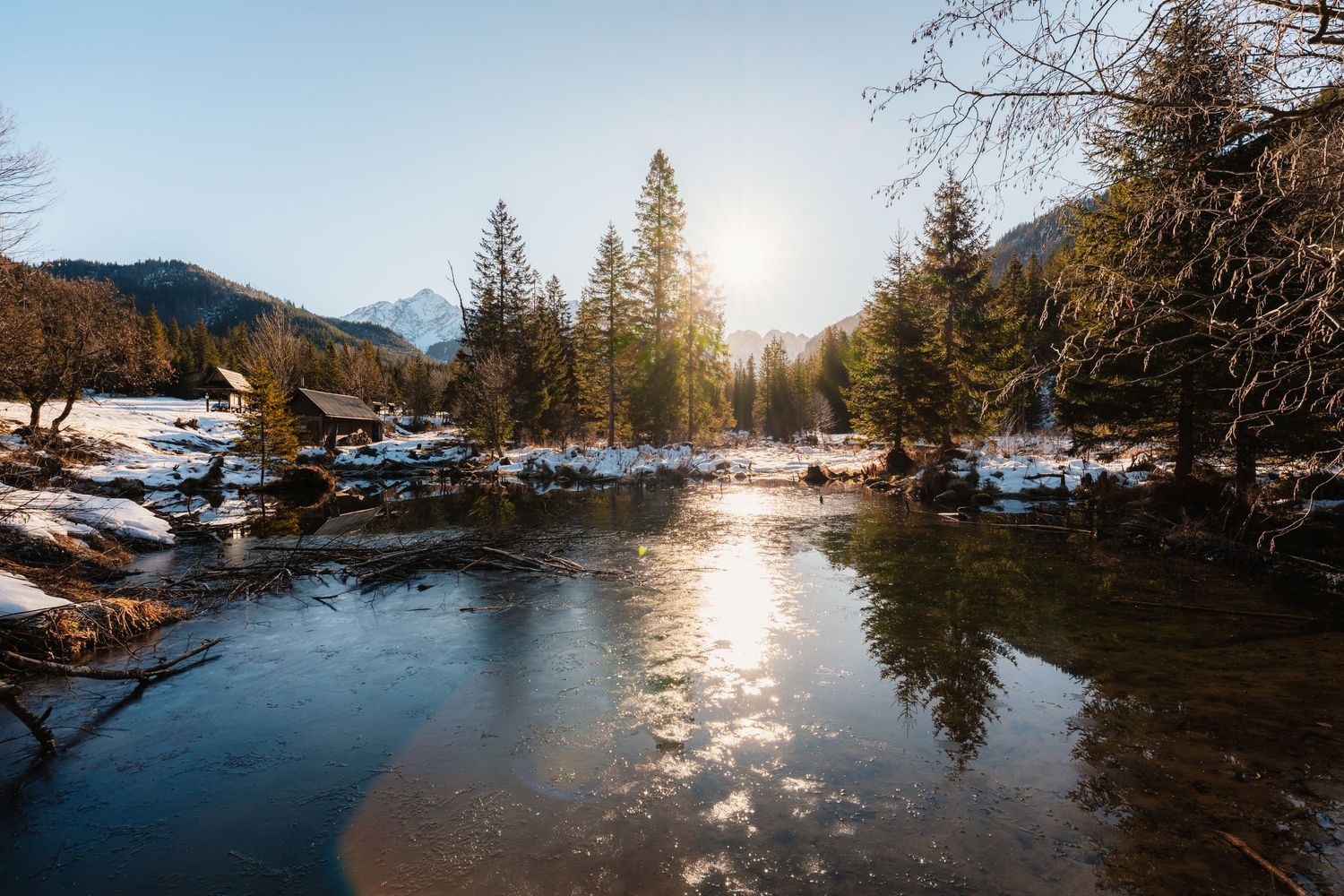 Sunlight reflecting on a partially frozen mountain stream surrounded by pine trees in winter.