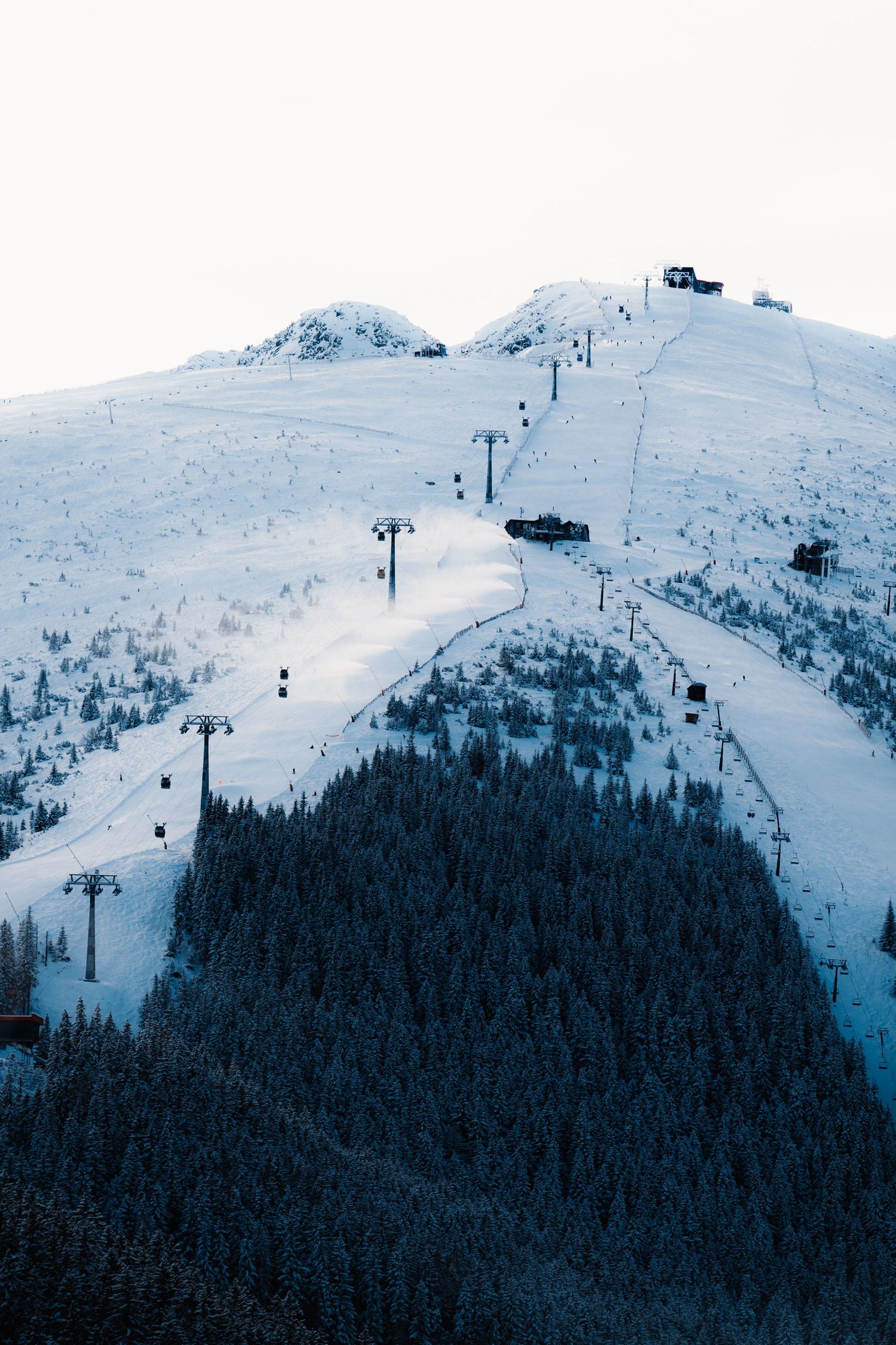 Ski resort chairlifts ascending a wide snowy slope lined with pine trees under a pale winter sky.