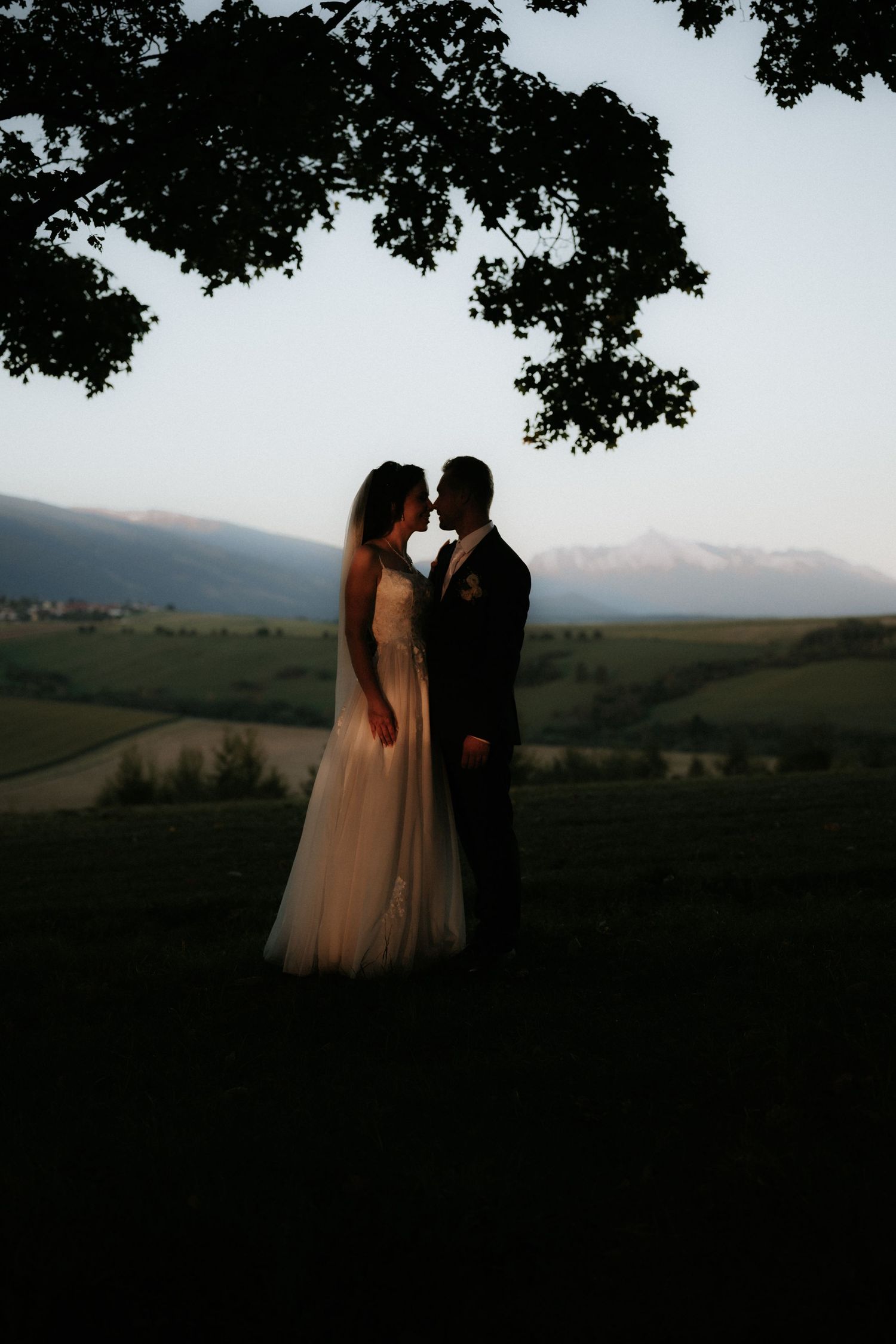 Silhouette of bride and groom standing close under a tree at dusk with scenic mountain landscape backdrop.