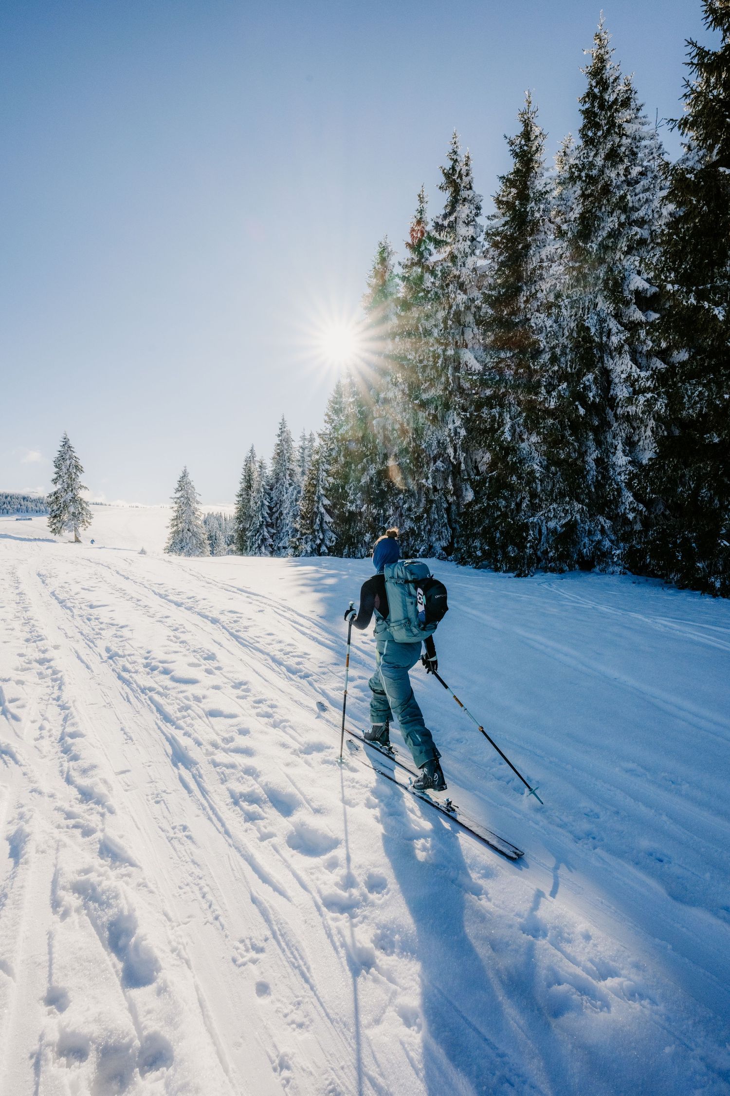 A skier ascends a groomed snowy trail through a dense pine forest with bright sunlight filtering through trees.