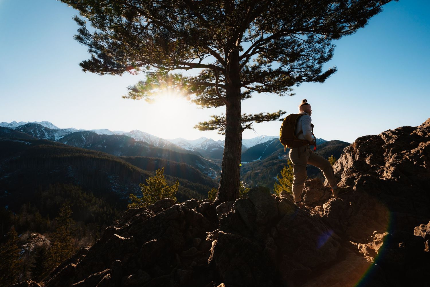 Solo hiker standing on rocky mountain summit beside tall pine tree at golden hour sunset.