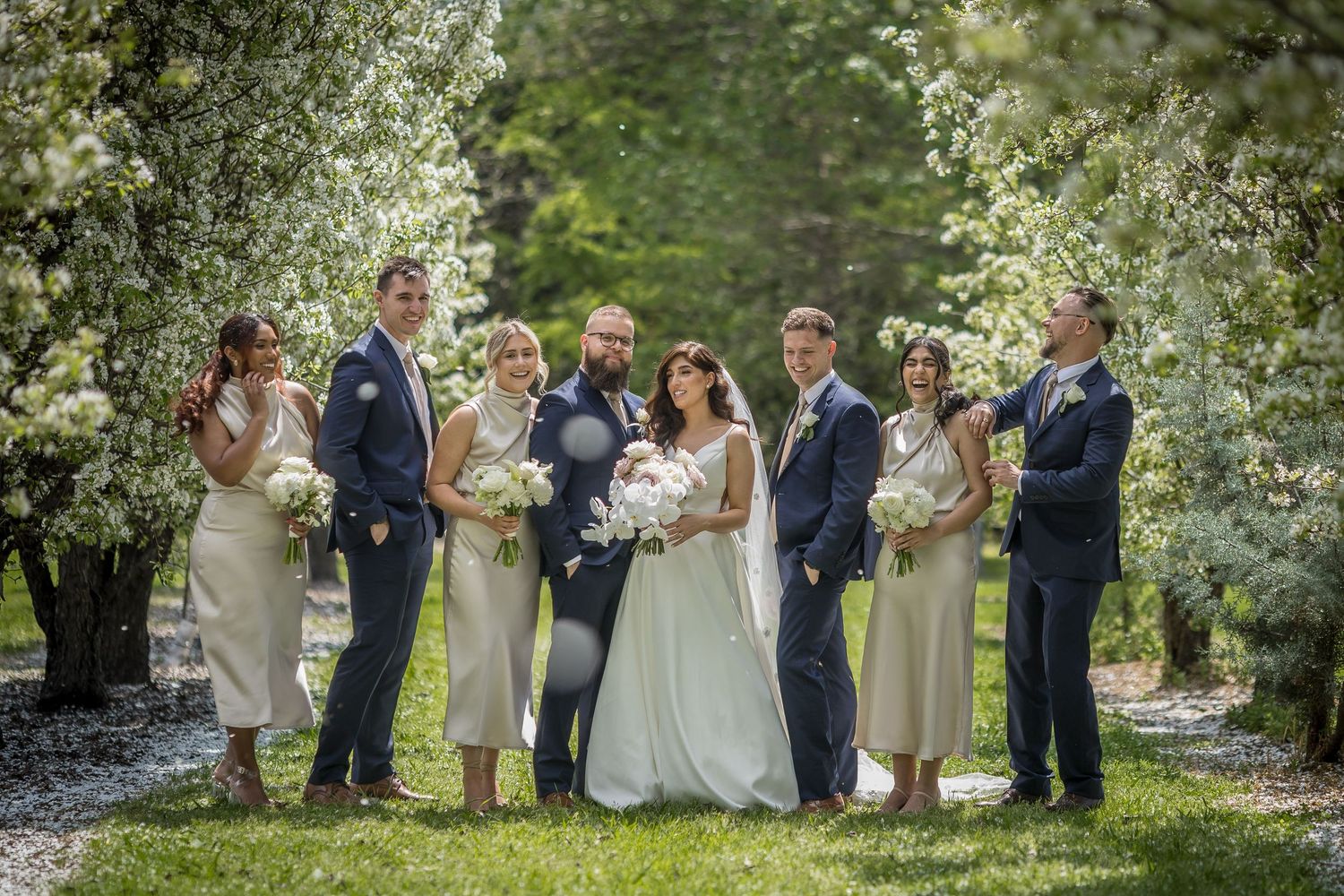 Wedding party poses outdoors among blooming trees, bride in white gown with bridesmaids in cream dresses and groomsmen in navy suits.