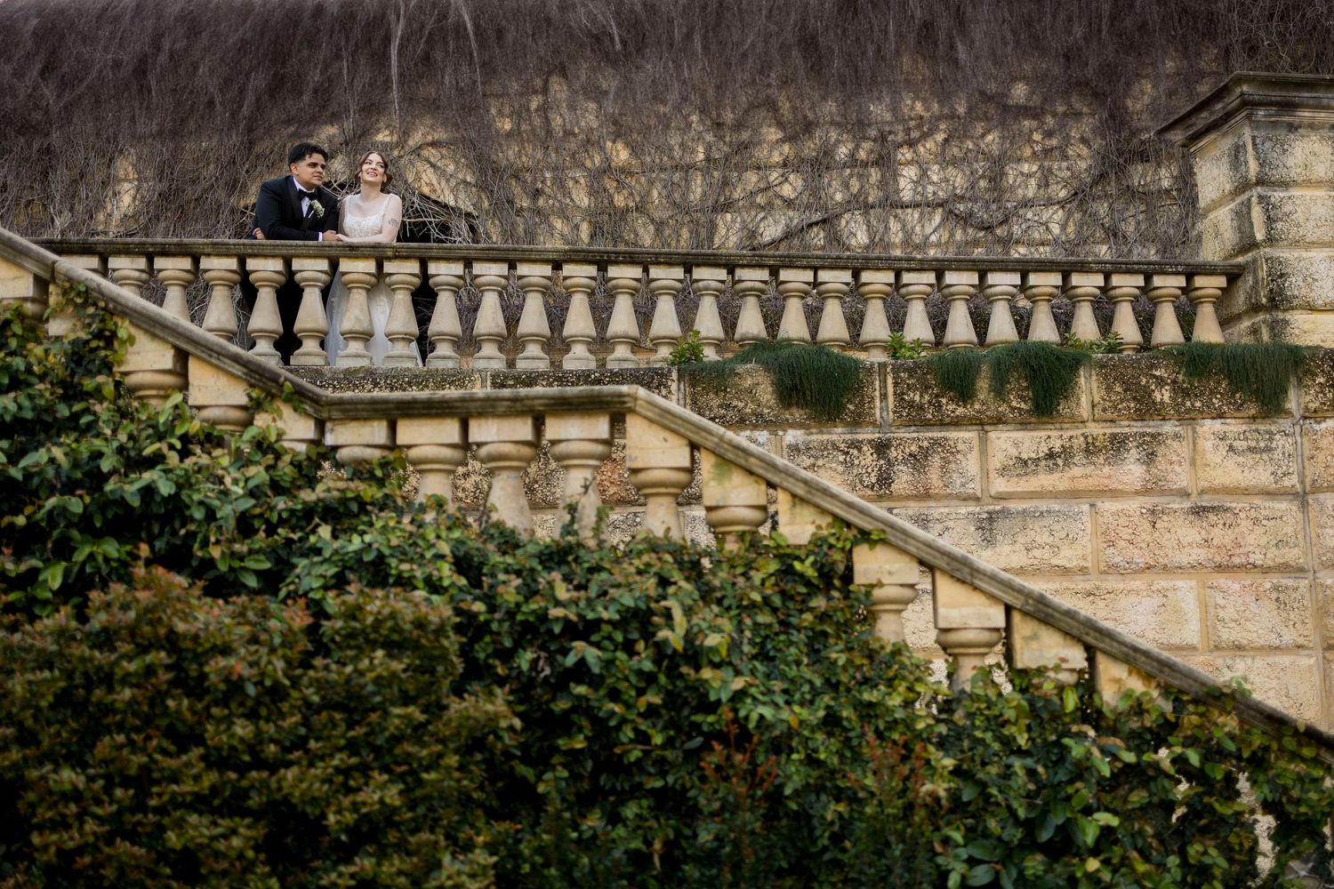 Wide panoramic view of a stone terrace with ornate railings surrounded by winter trees.
