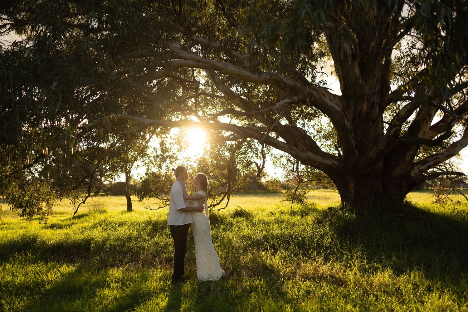 Couple embracing at golden hour beneath a large tree in a lush green meadow.