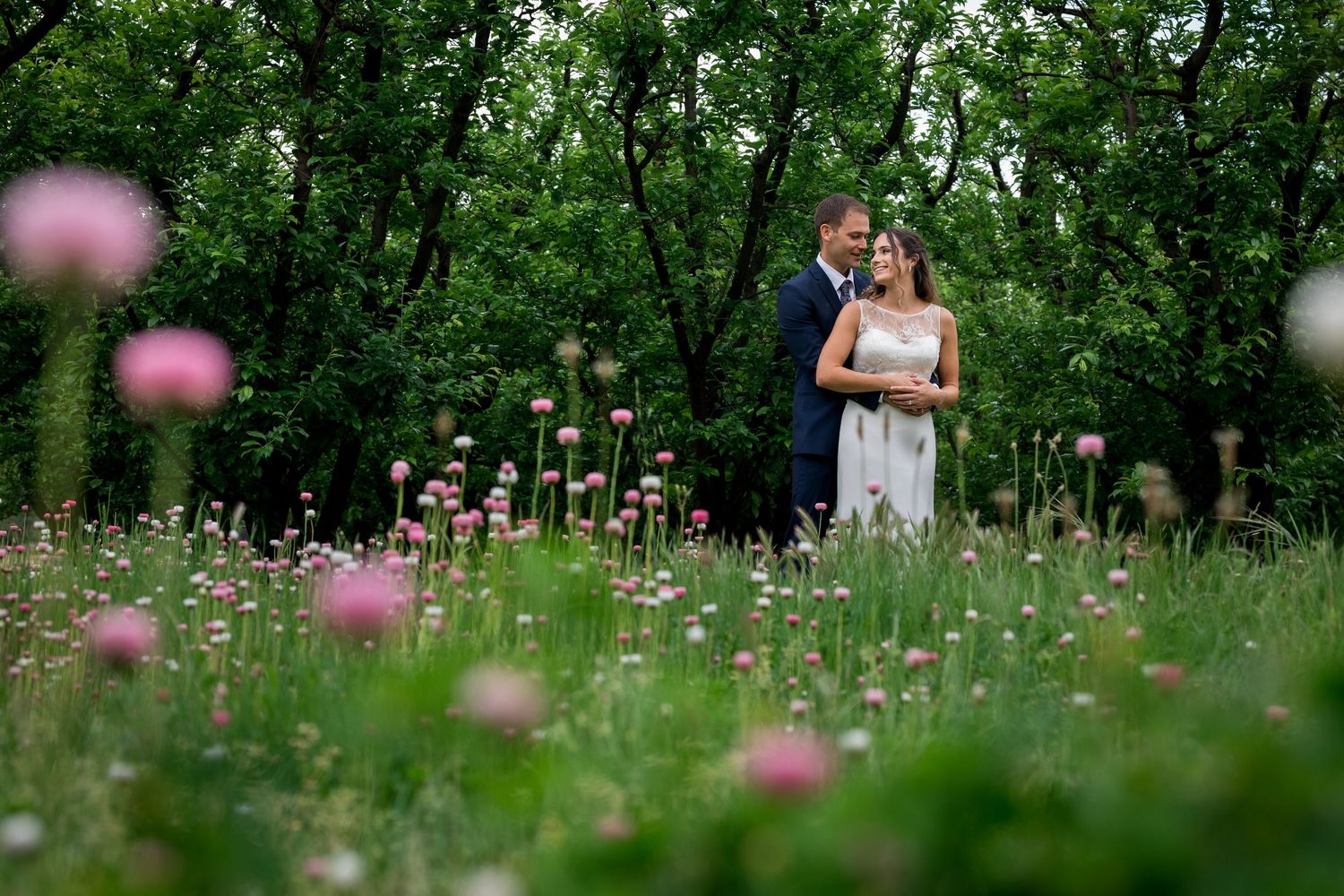 A bride and groom embrace in a lush green meadow filled with blooming pink flowers on their wedding day.
