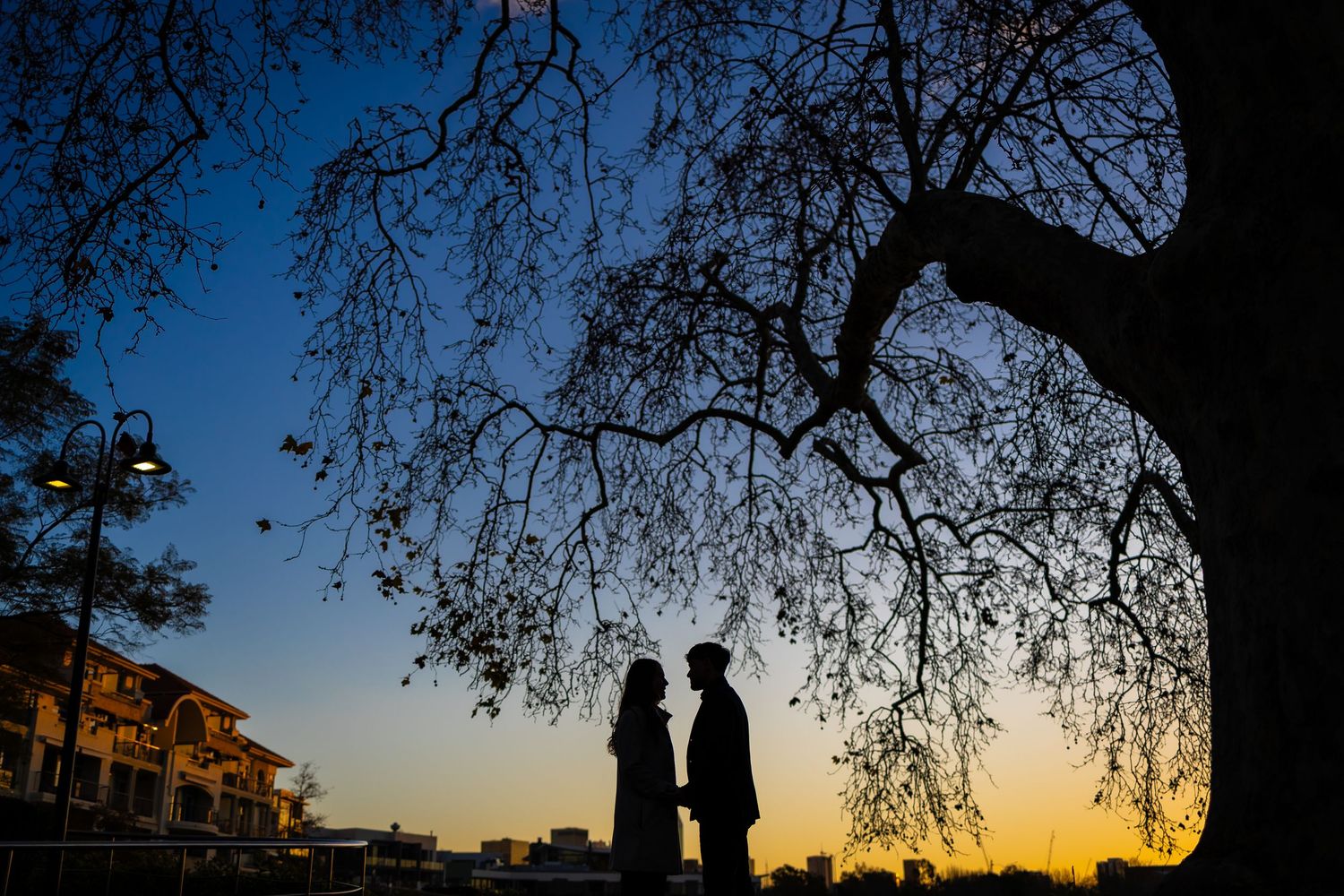 Silhouette of a couple holding hands under a bare tree at sunset with a warm golden and blue sky backdrop.