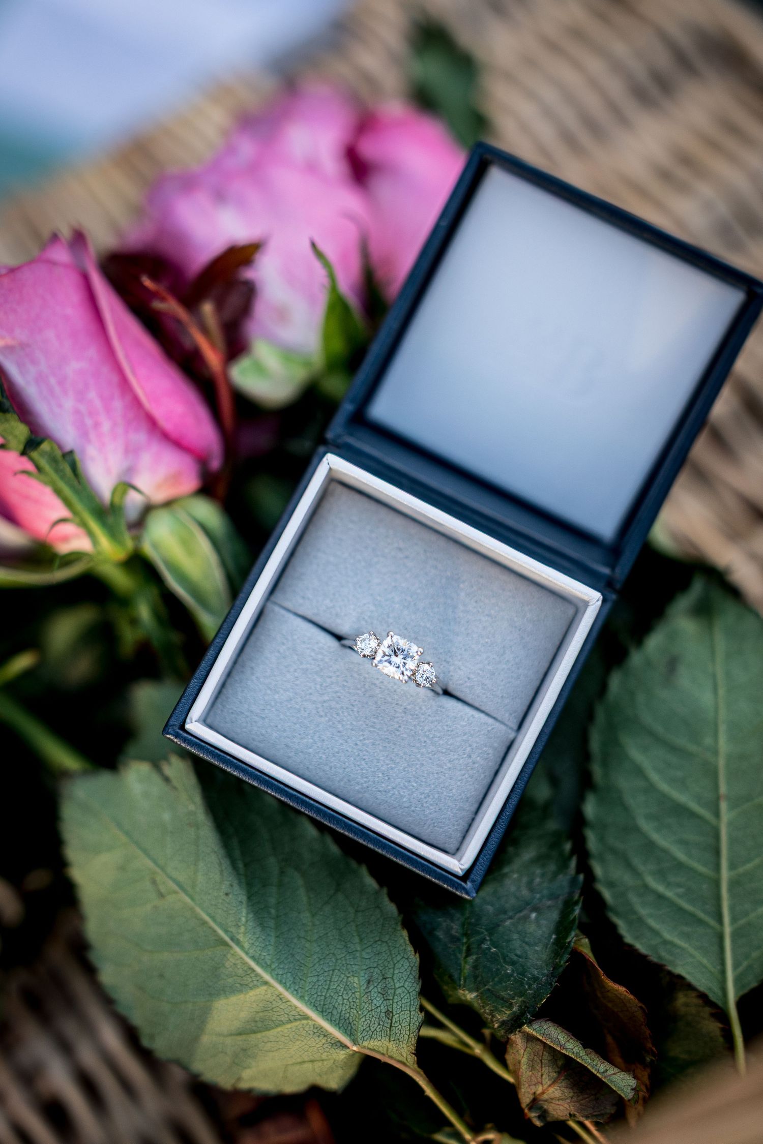 Diamond engagement ring in a blue velvet box surrounded by pink roses and green leaves.
