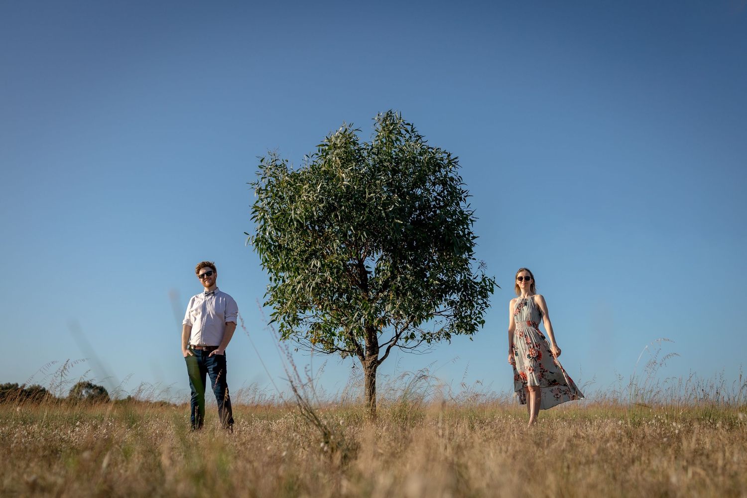 A couple stands apart in a golden field flanking a lone green tree under a clear blue sky.