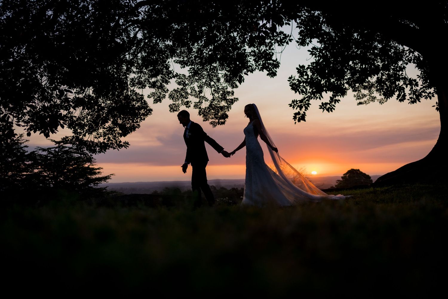 Romantic silhouette of bride and groom holding hands beneath a tree at a breathtaking sunset.